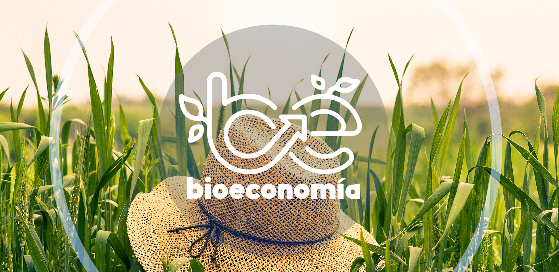 Bioeconomia / Branding and Visual Identity (more in Portfolio)