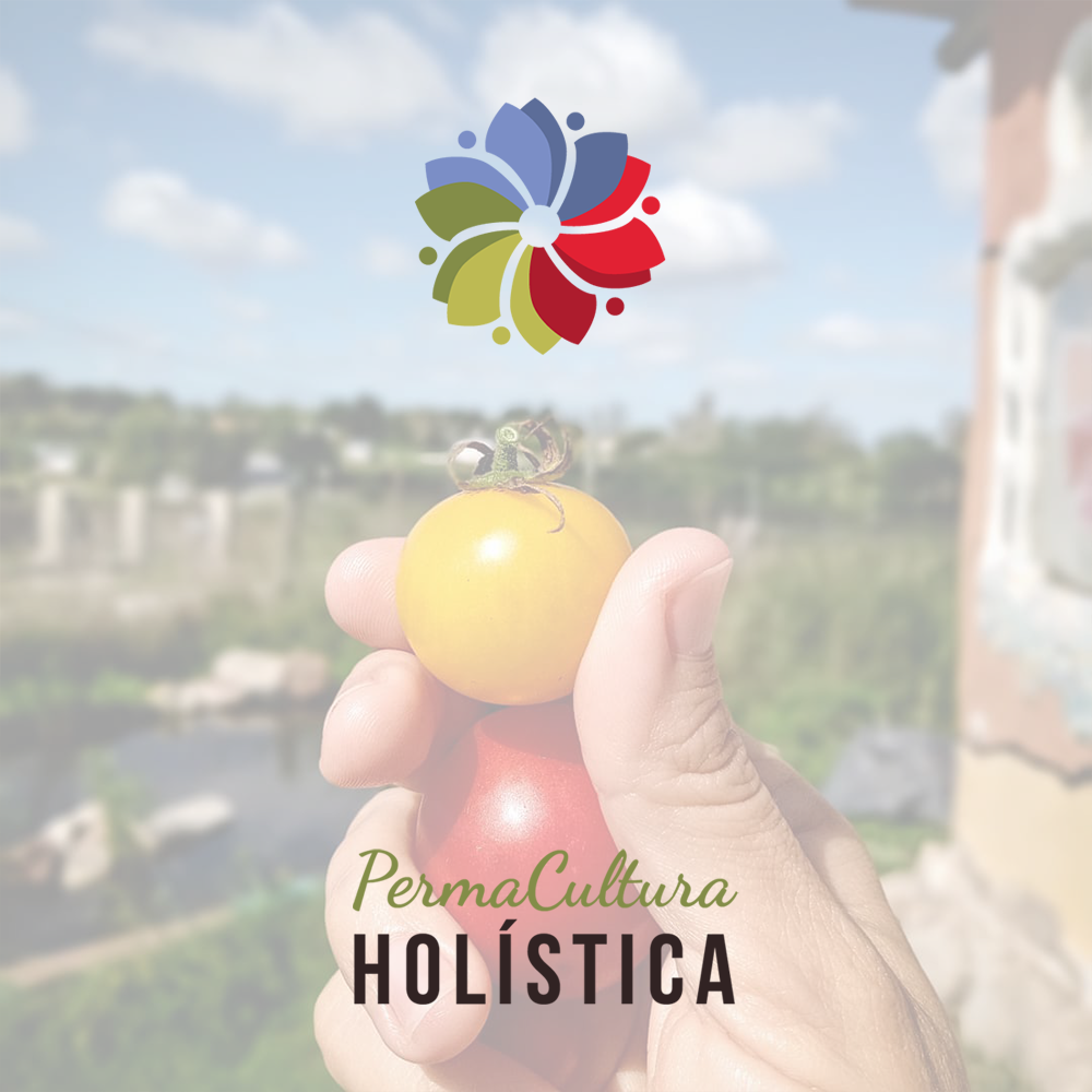 Permacultura Holística / Brand Identity