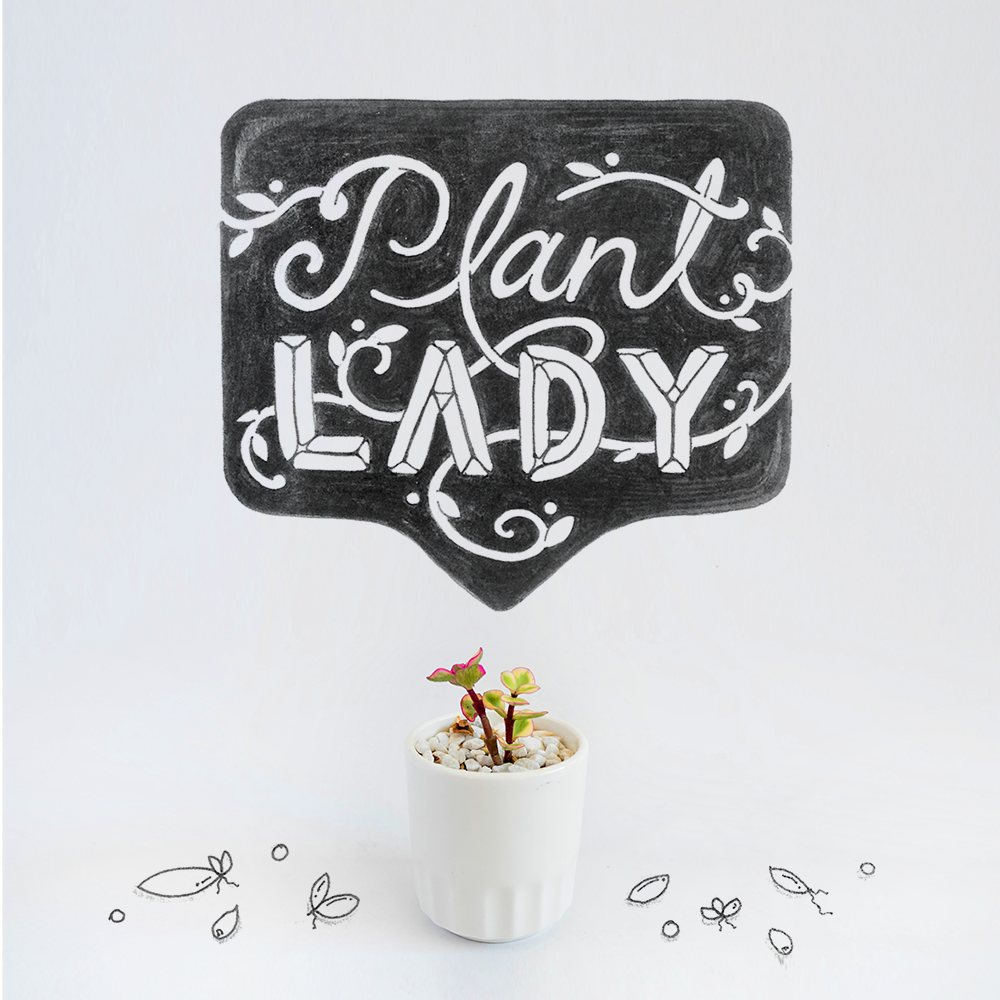 Lettering Social Media Content (more in portfolio)