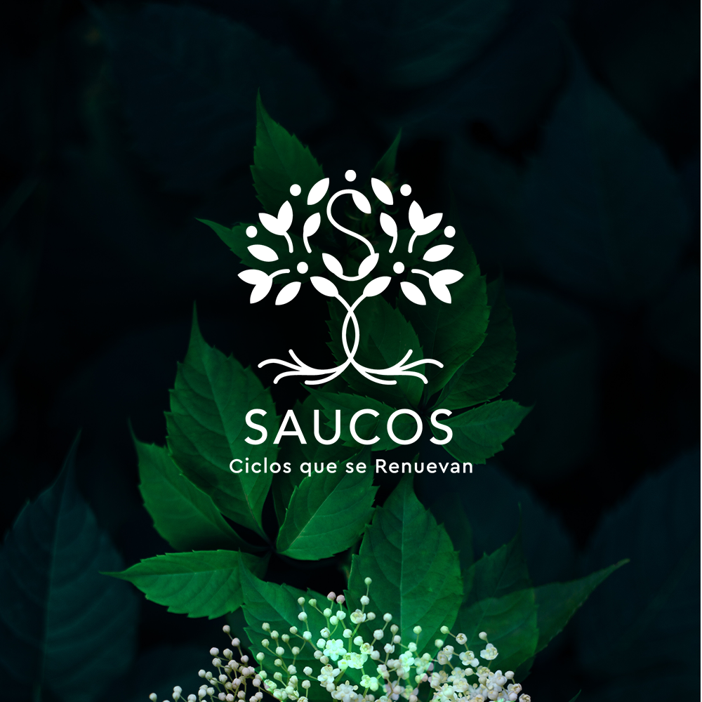 Saucos Hogar / Visual Identity (more in portfolio)