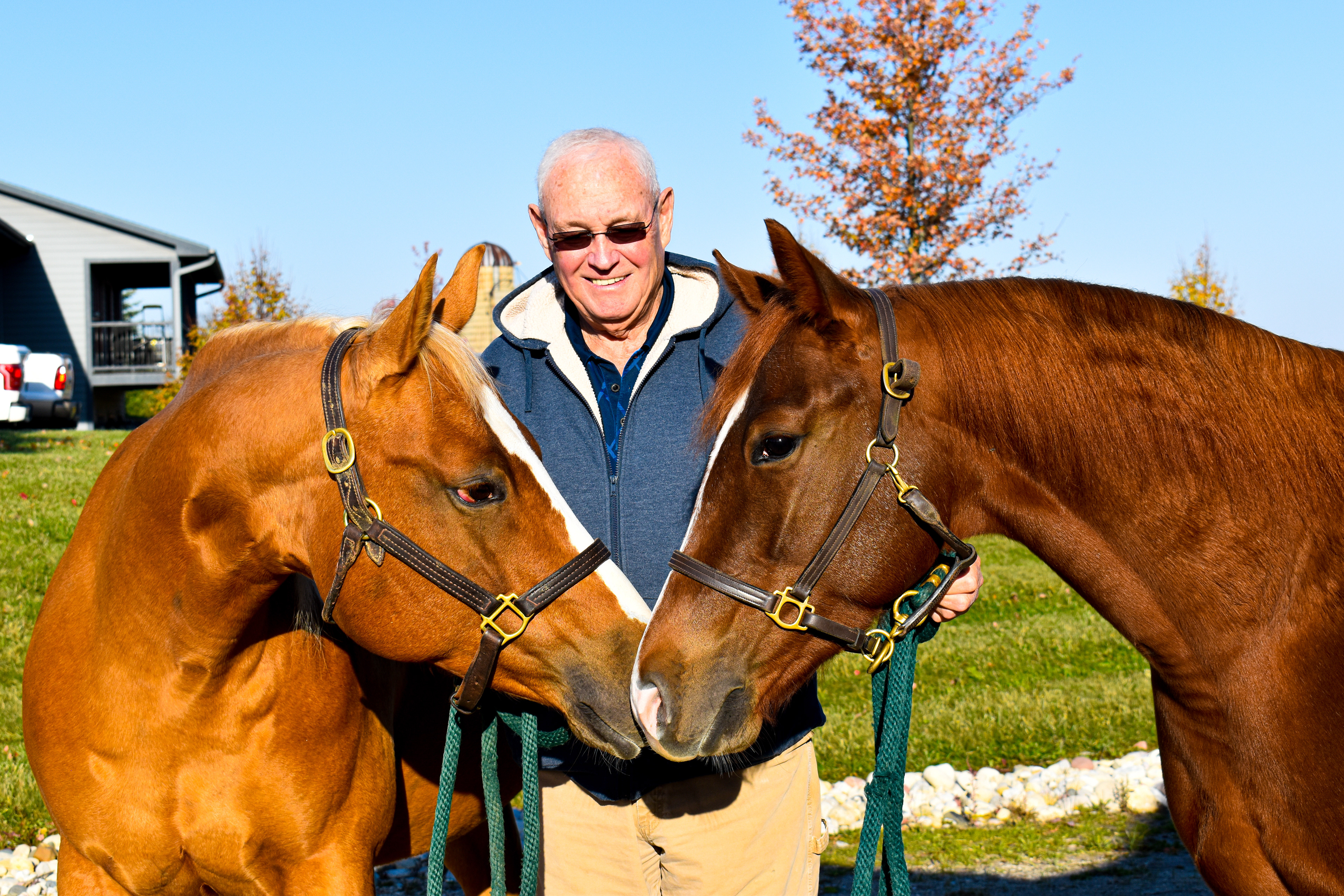 KISSING HORSES