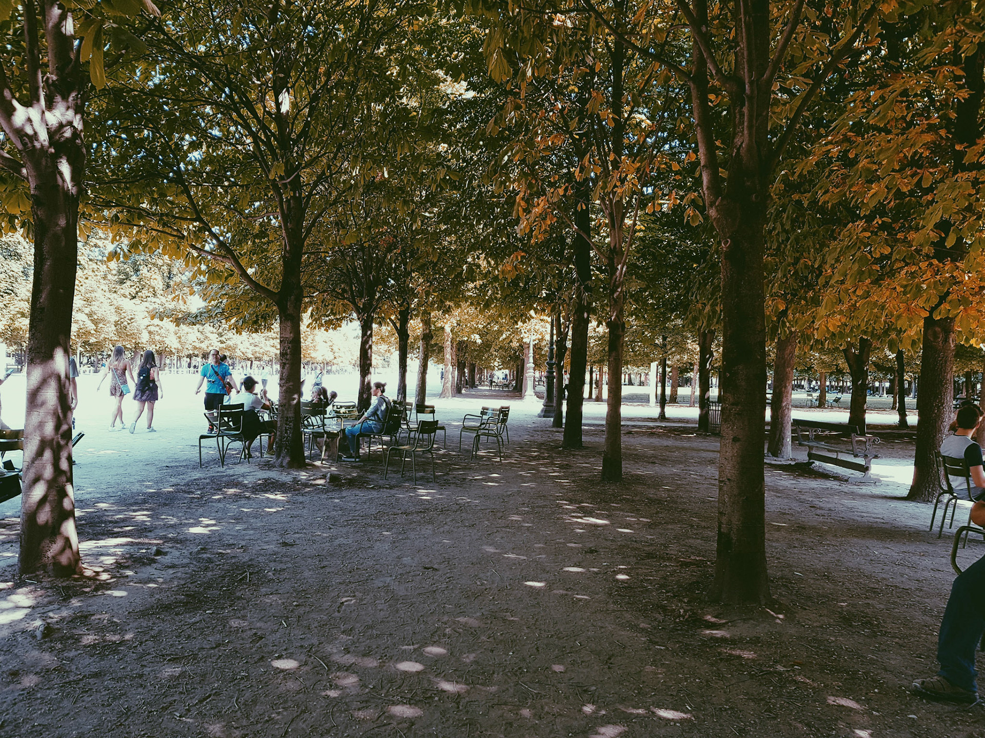 Eiffel garden