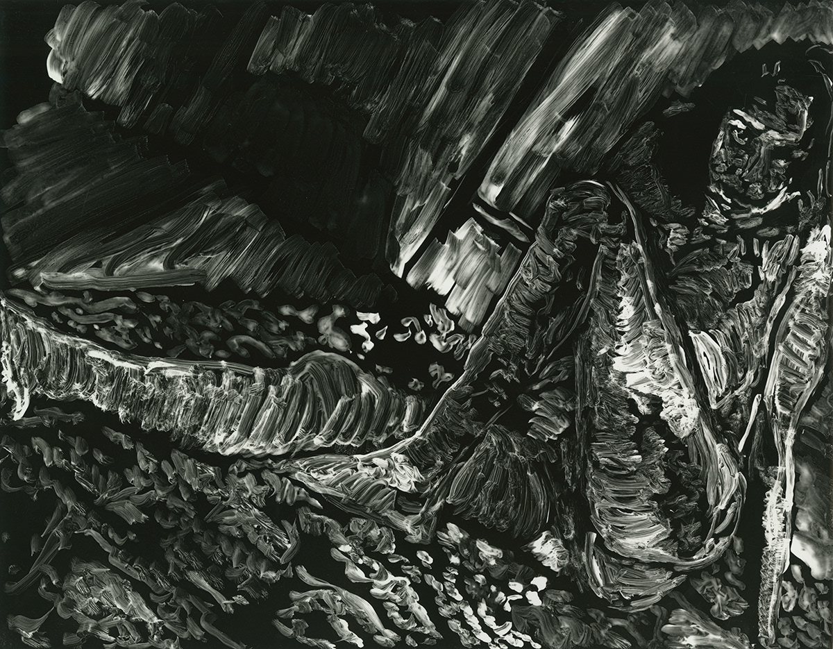 The Gaze, Silver gelatin print, cliche verre, 14" X 11", 2026