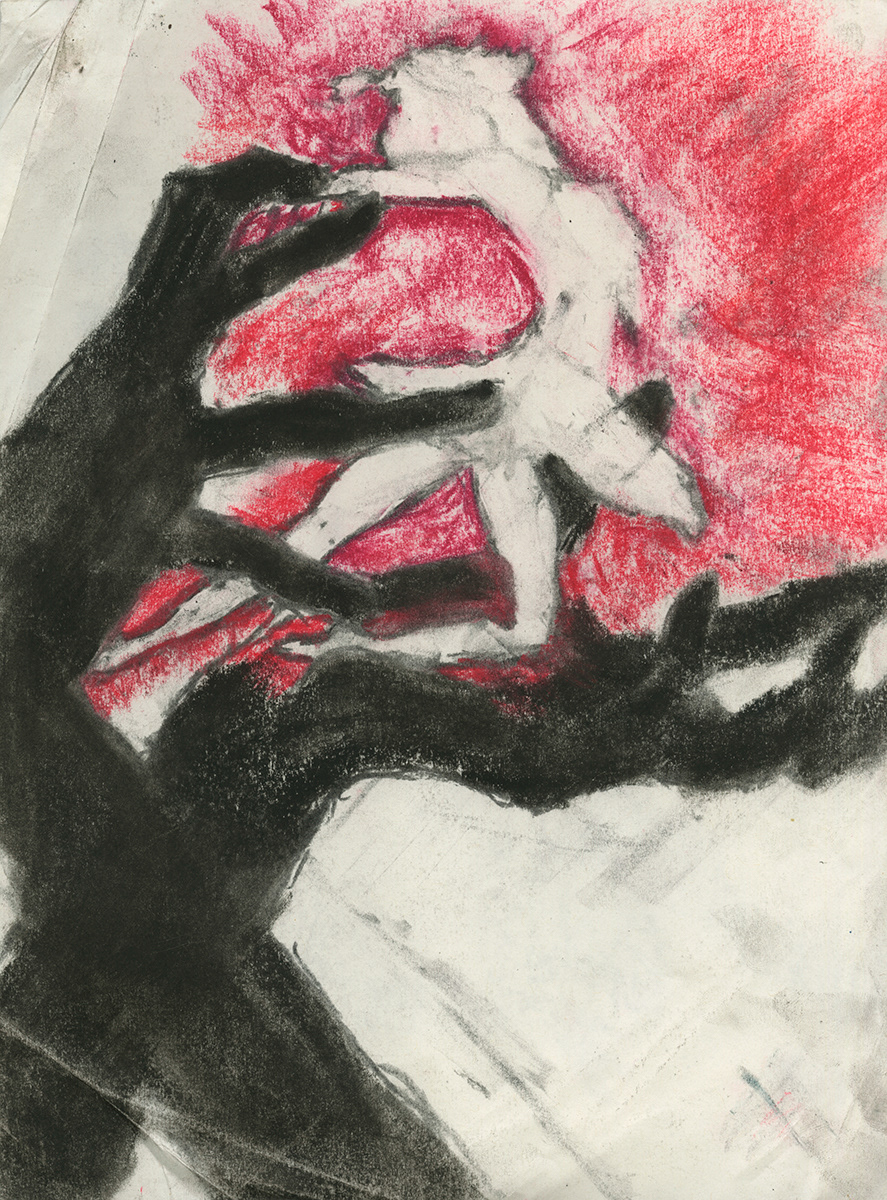 Black Swan, Charcoal, pastel, 18" X 24" 2021