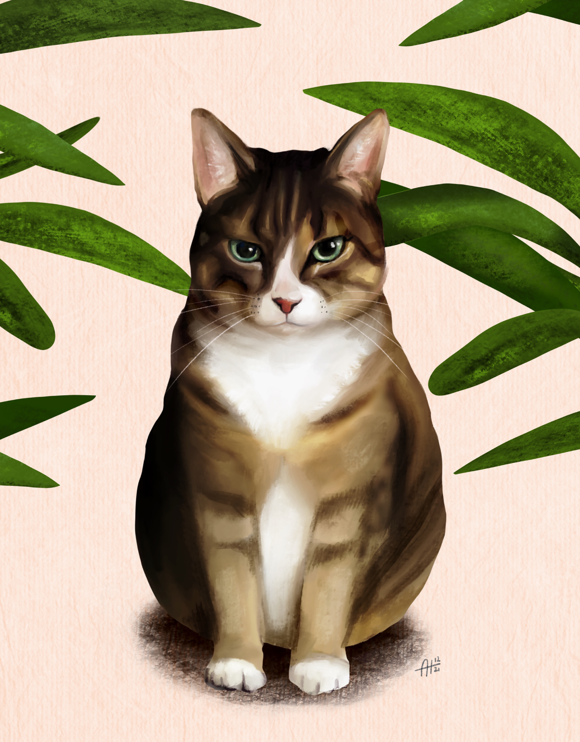 Grumpy Cat