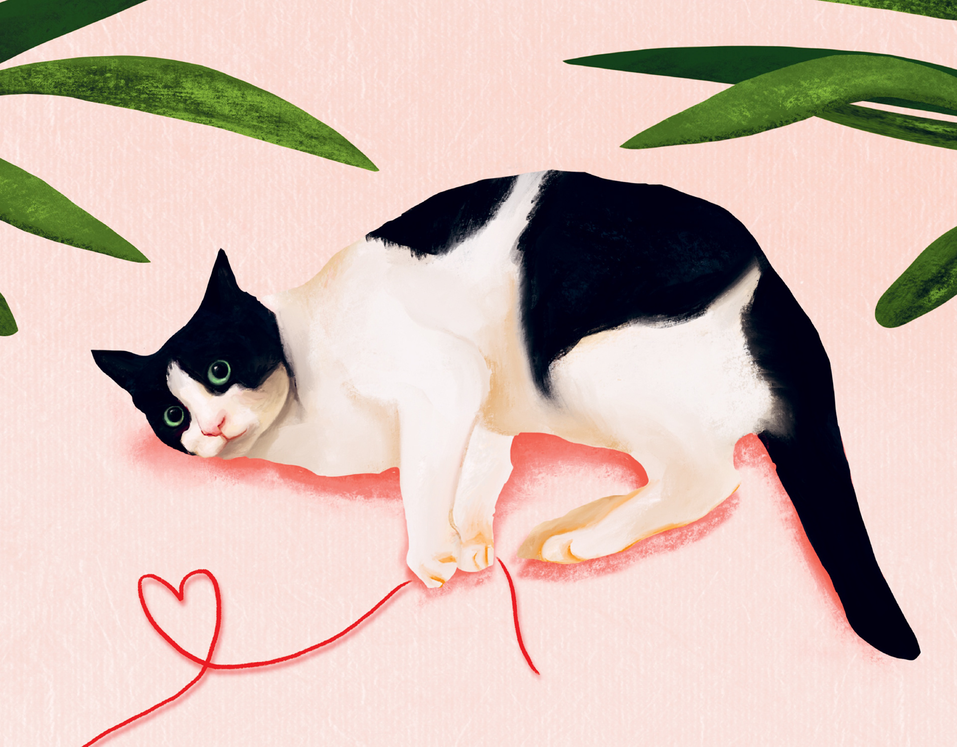 Katzenliebe