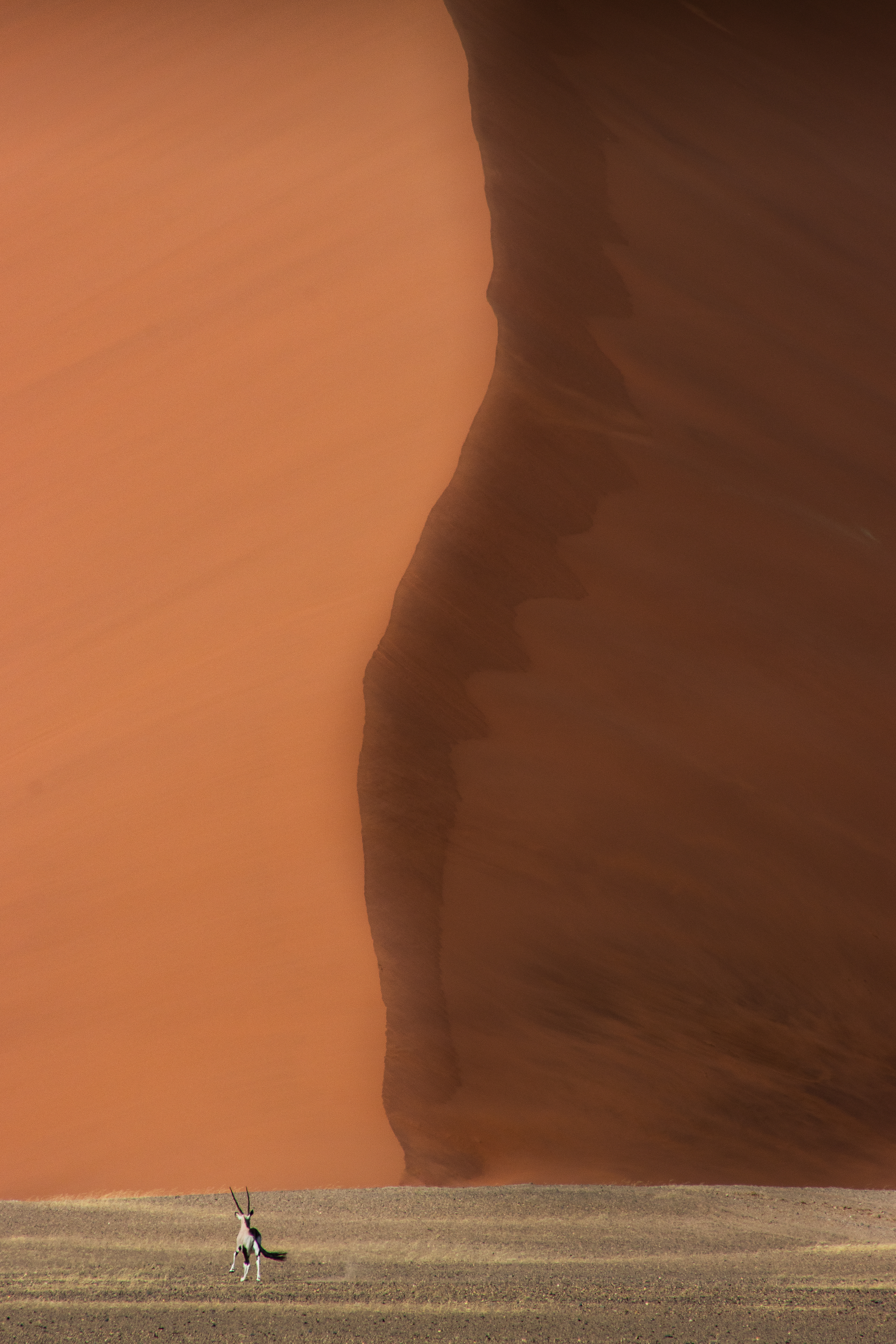 Deadvlei 5