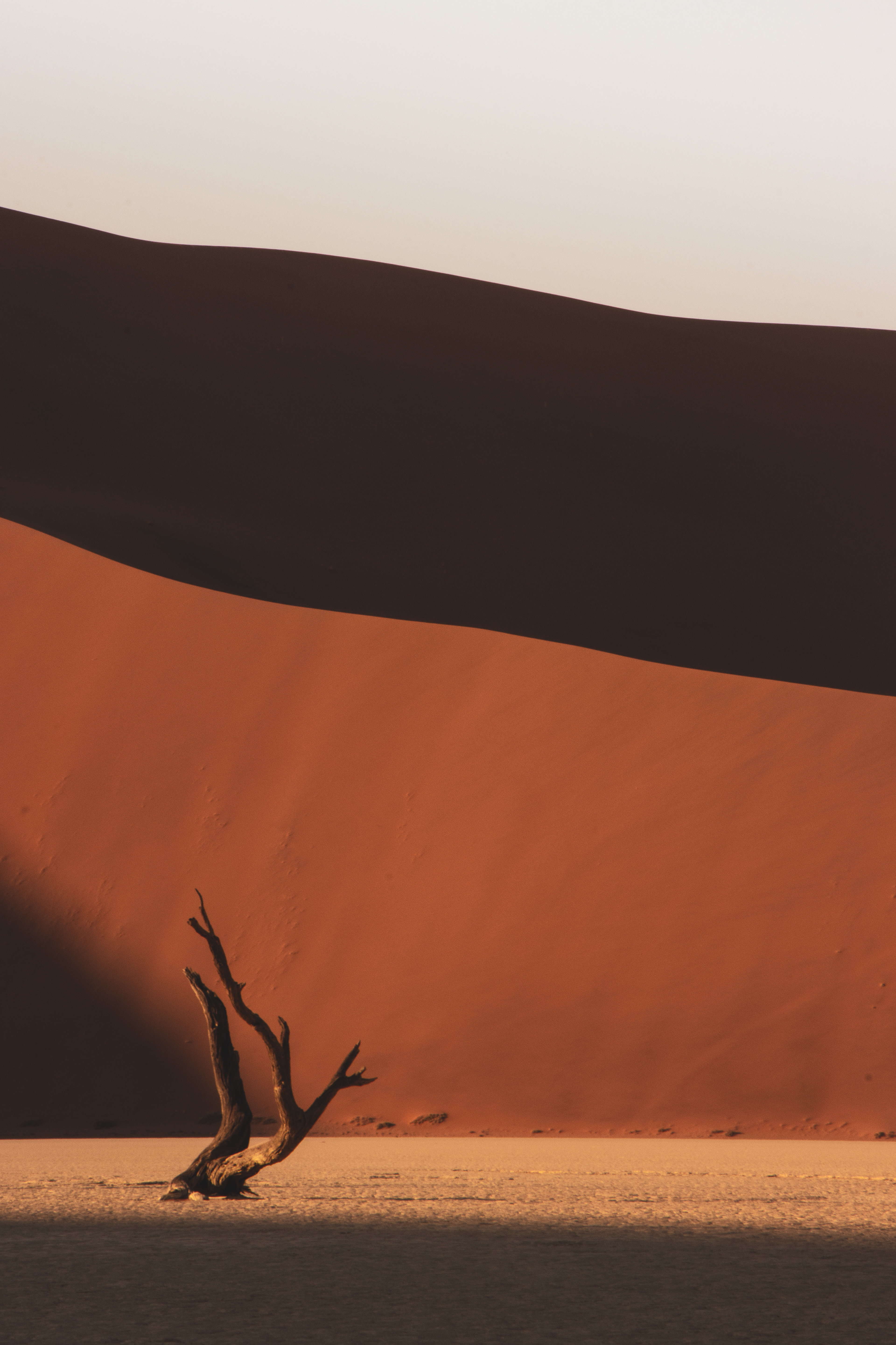Deadvlei 3