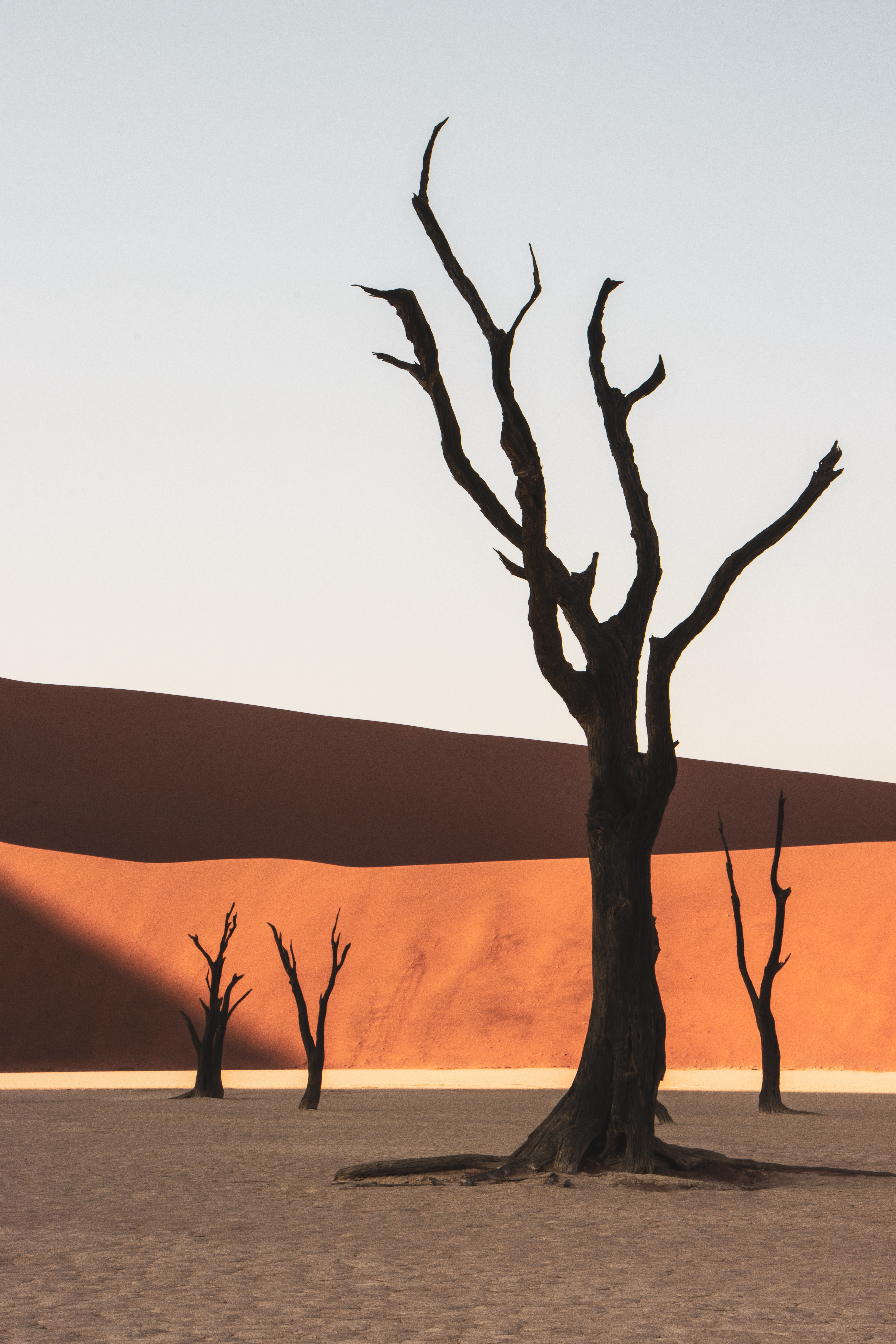 Deadvlei 4