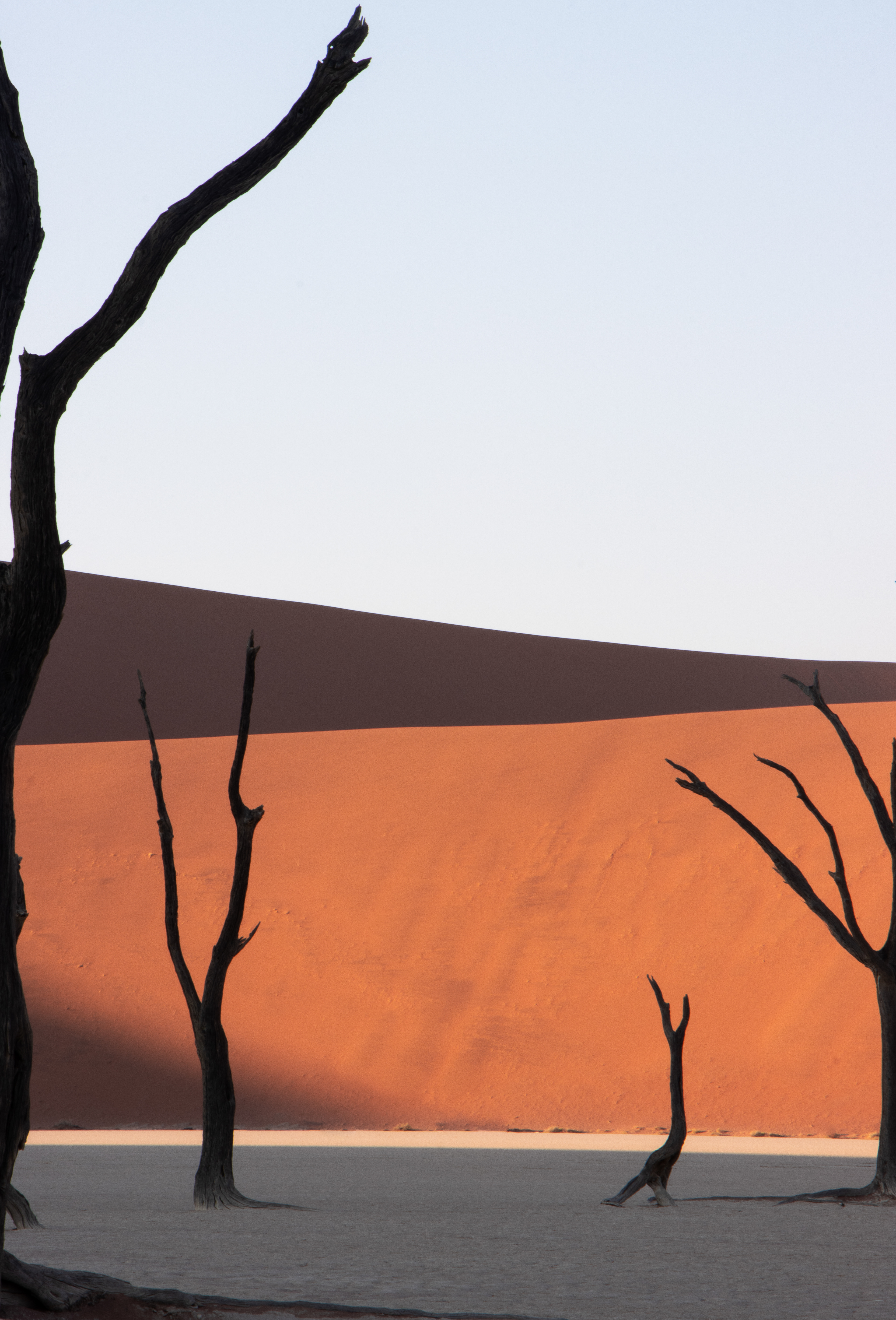 Deadvlei 1