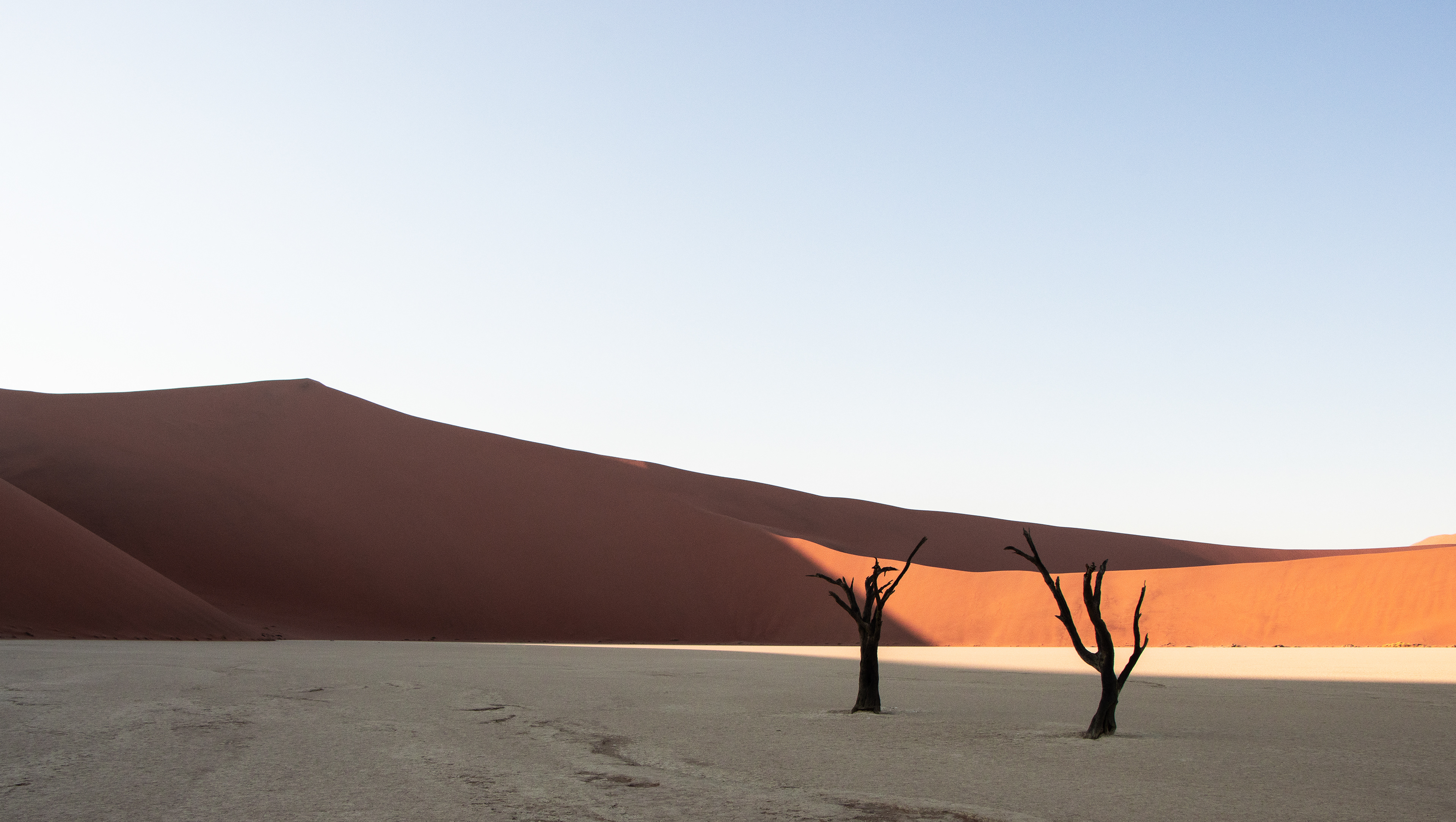 Deadvlei 7