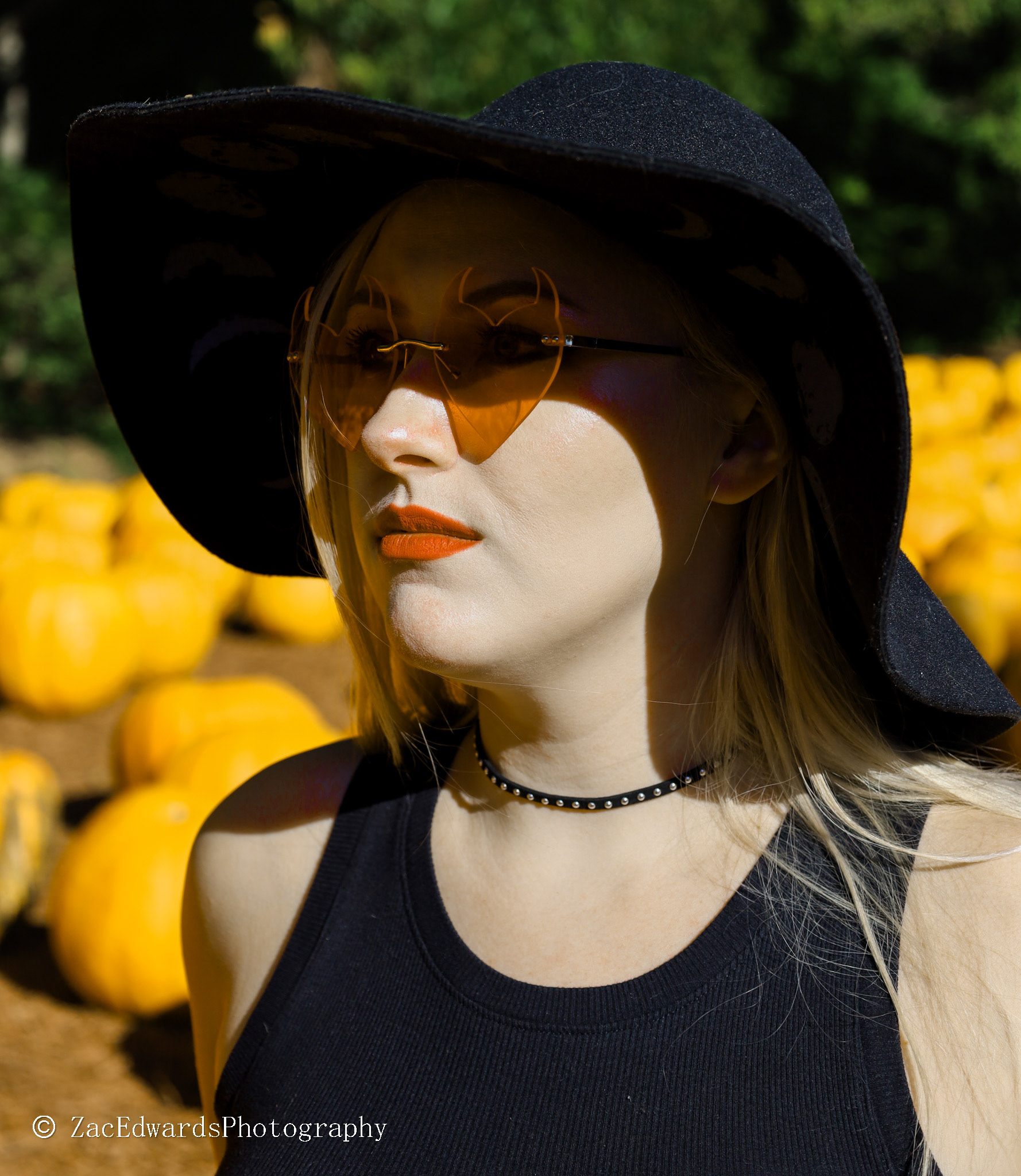 In the Pumpkin Patch