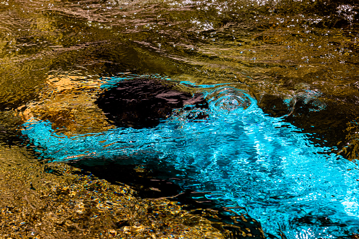 Fragments #11