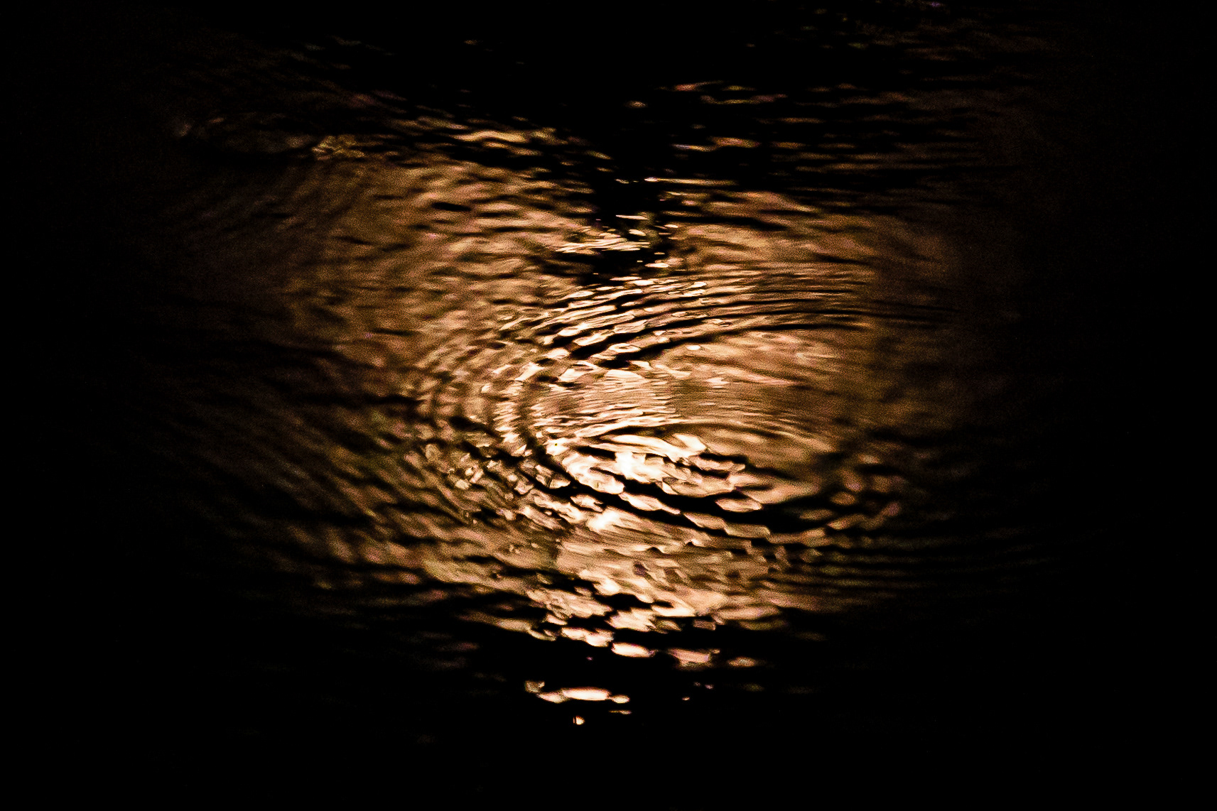 Fragments #5