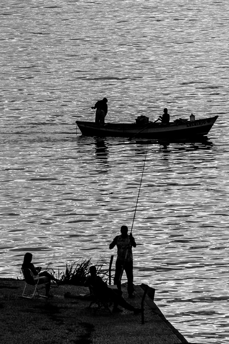 Shadows #1