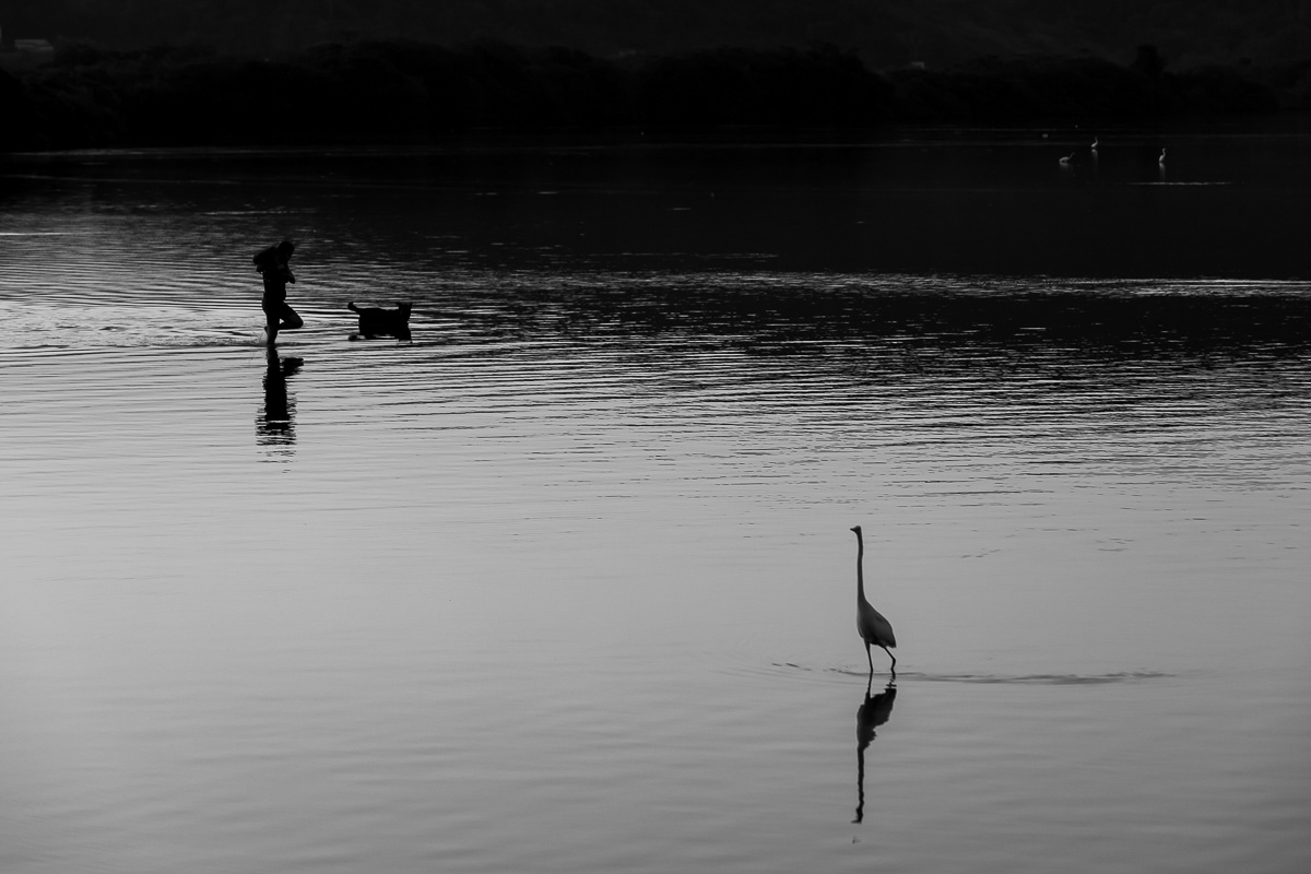 Shadows #10