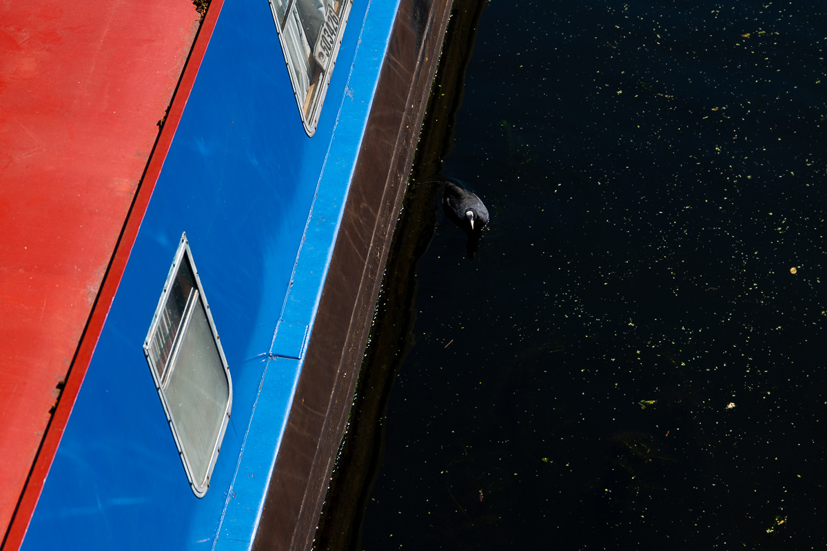 Fragments #8