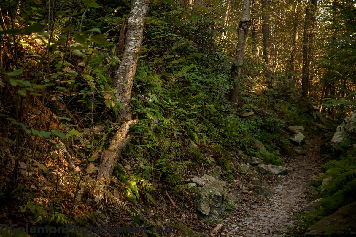 Sunset on Hawk Mountain, PA 2019