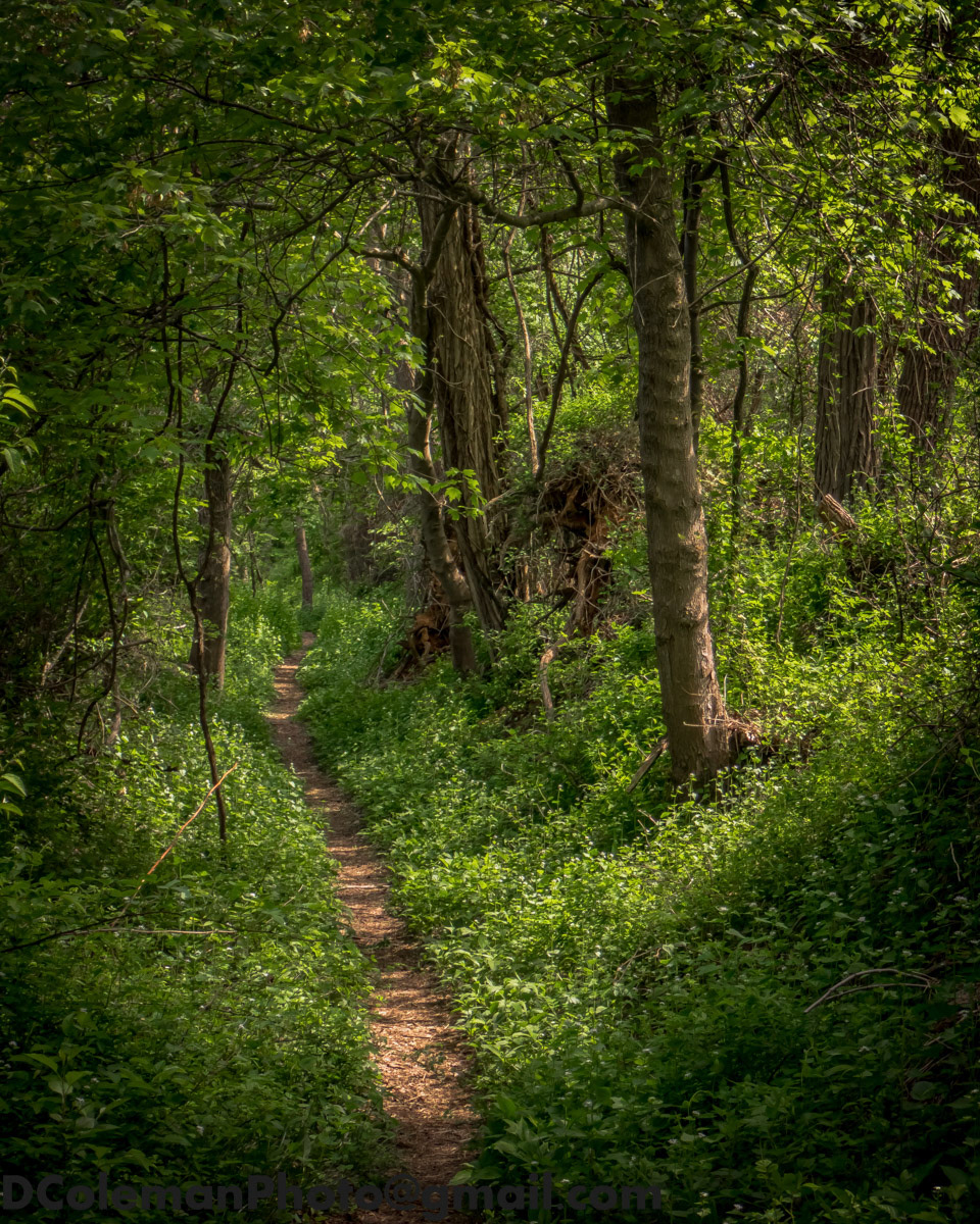 Ridley Creek State Park, 2015