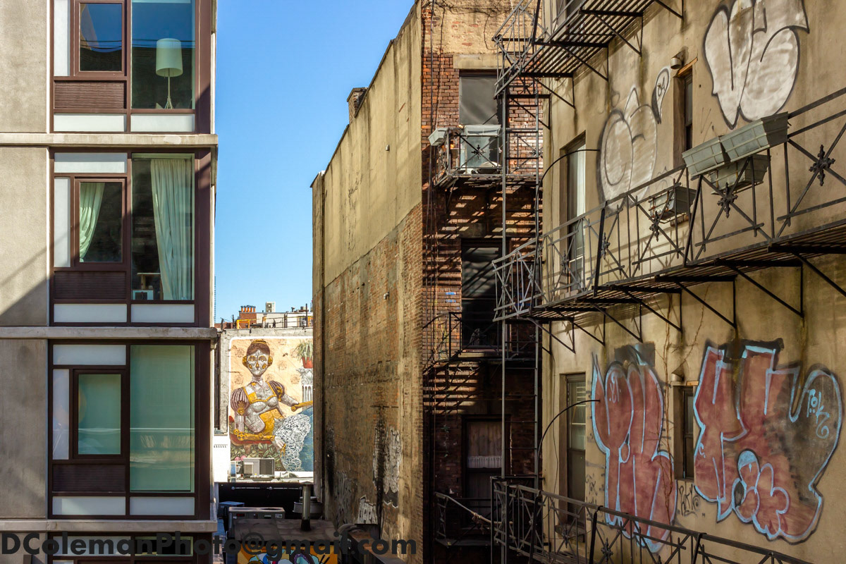 Along the High Line, NYC 2017