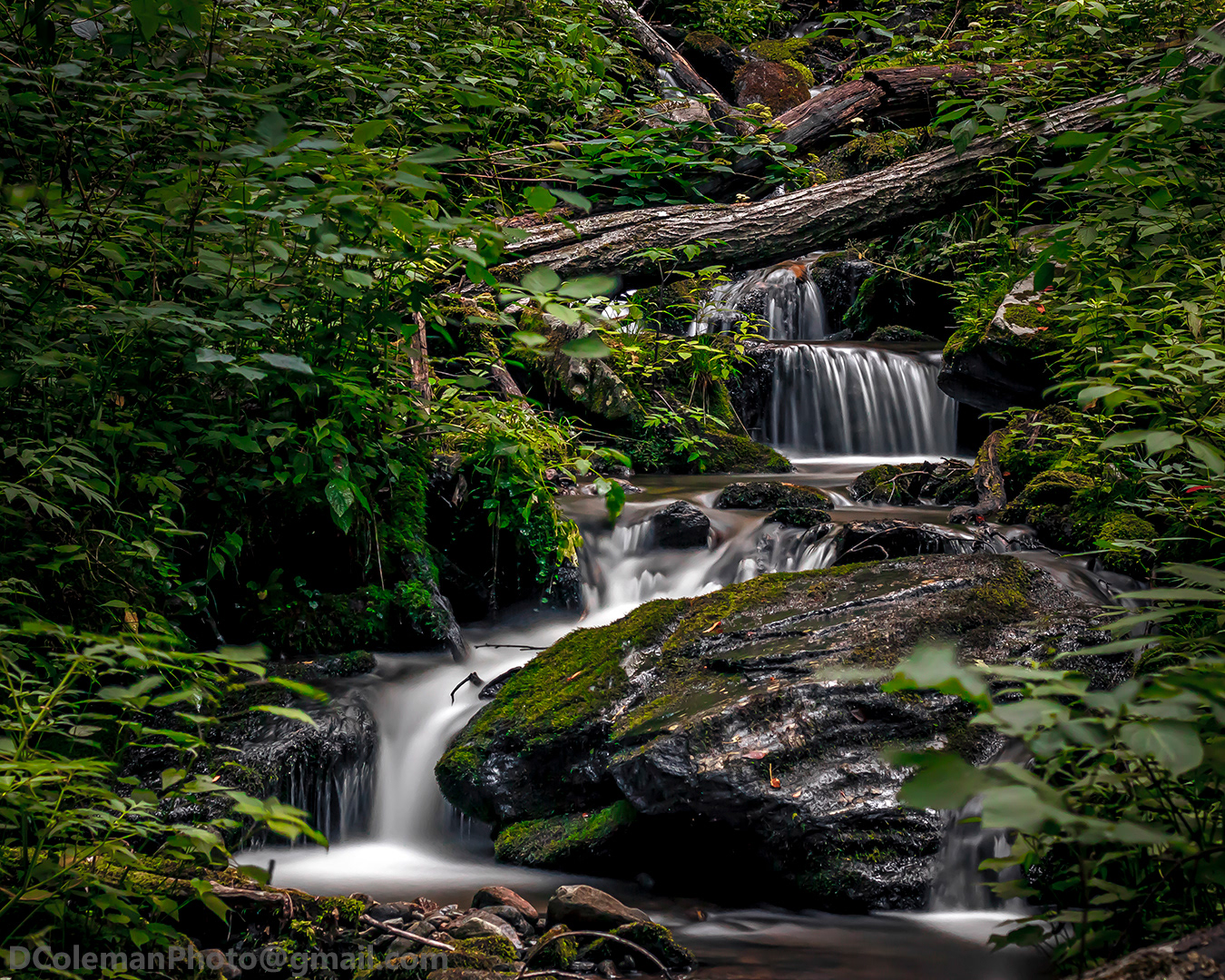 Nantahala National Forest, North Carolina 2021