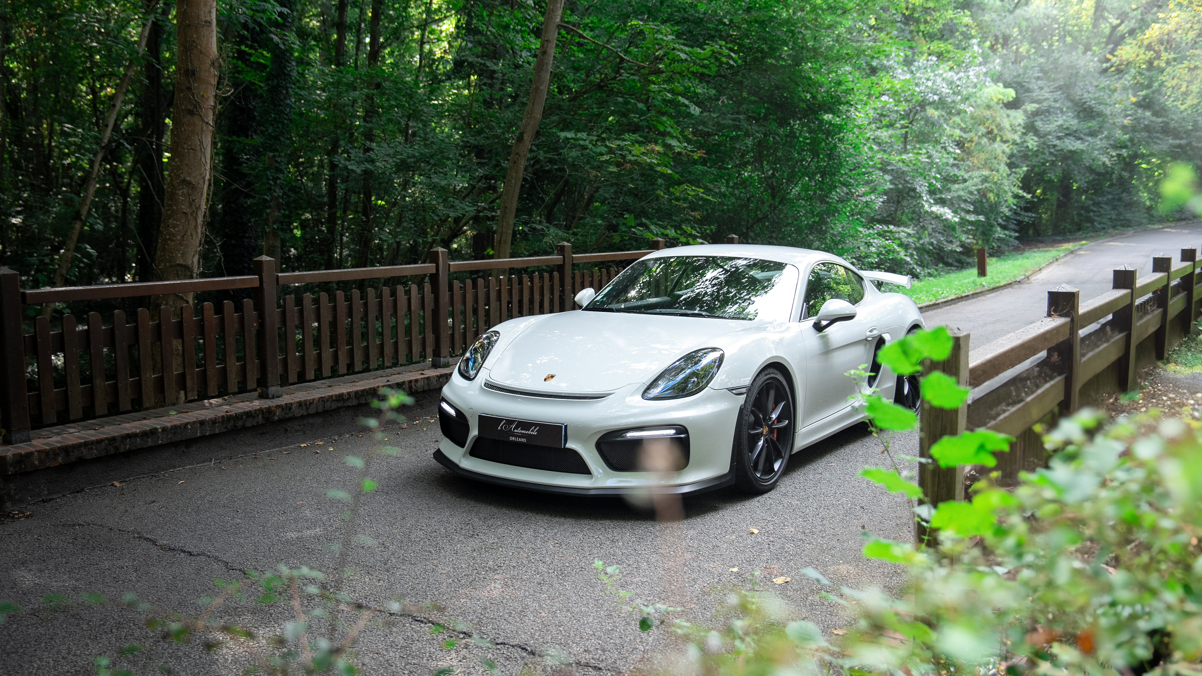 Porsche 718 Cayman GT4