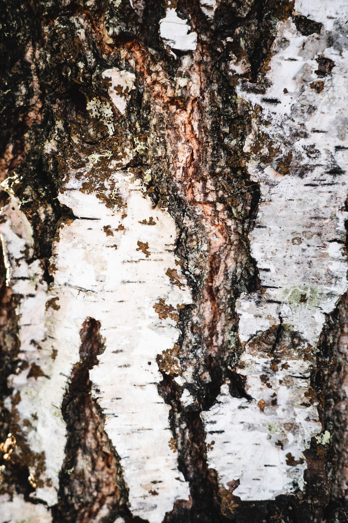 Pattern