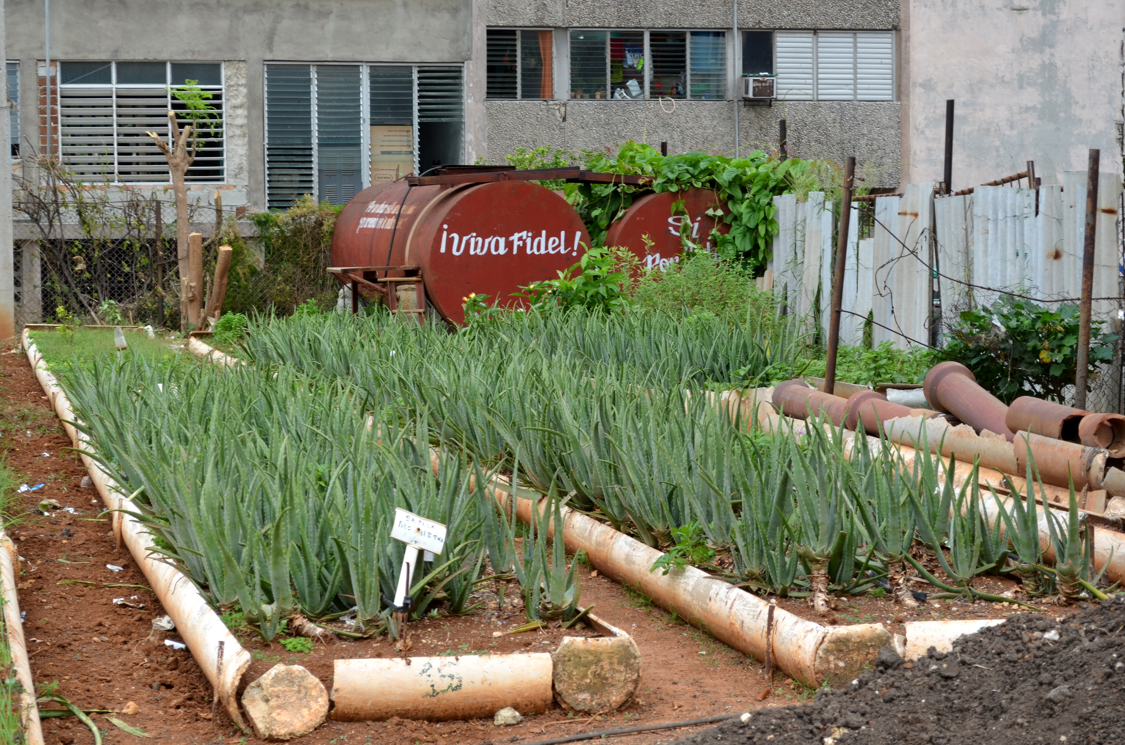 Organiponico on site, Cayo Hueso, Centro Havana