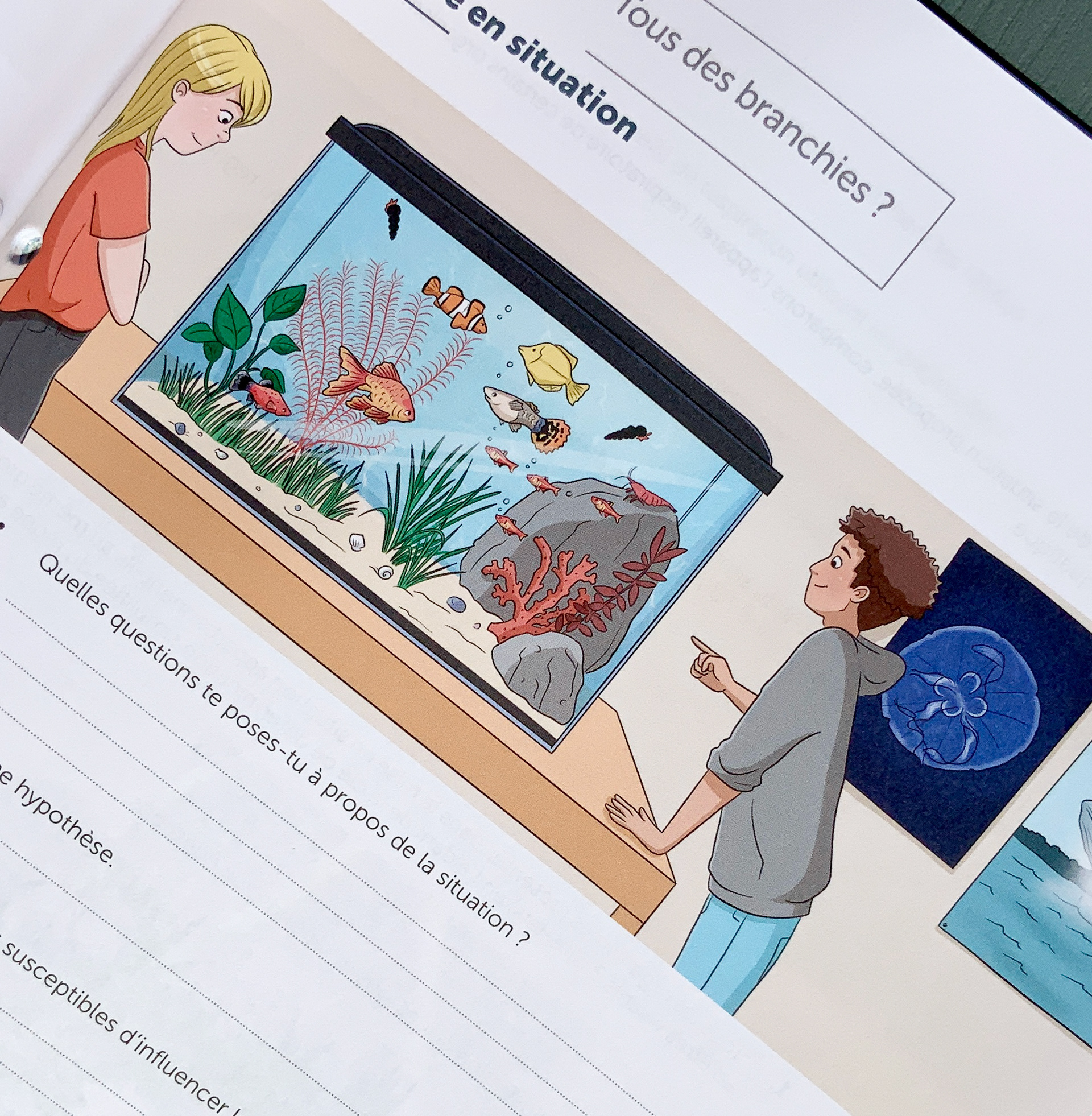 Éditions Van In - Enigma, manuel de sciences niveau Collège
