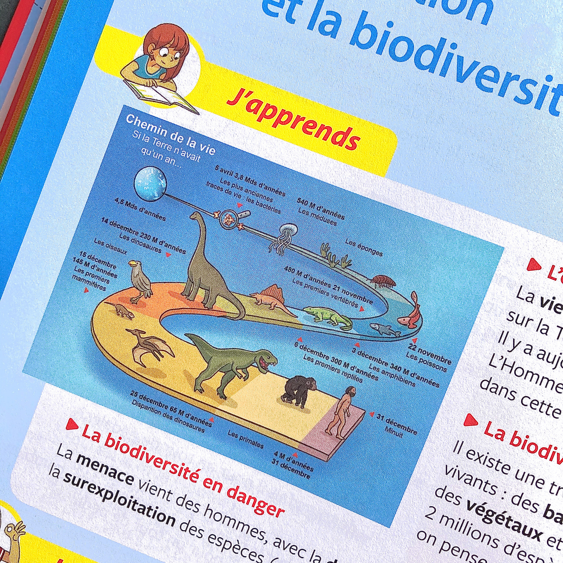 Éditions Hatier - Tout savoir - CM1/CM2