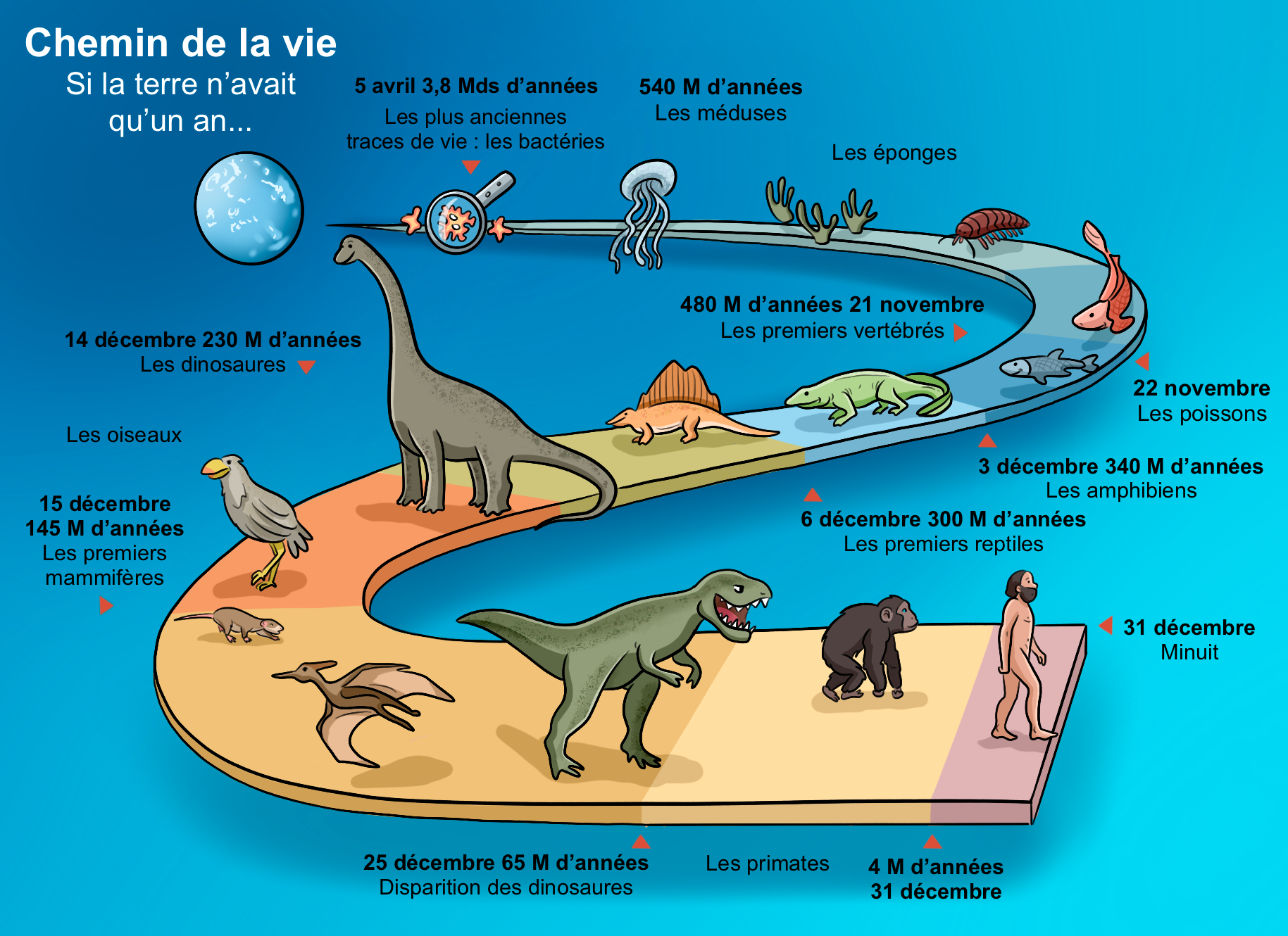 Éditions Hatier - Tout savoir - CM1/CM2