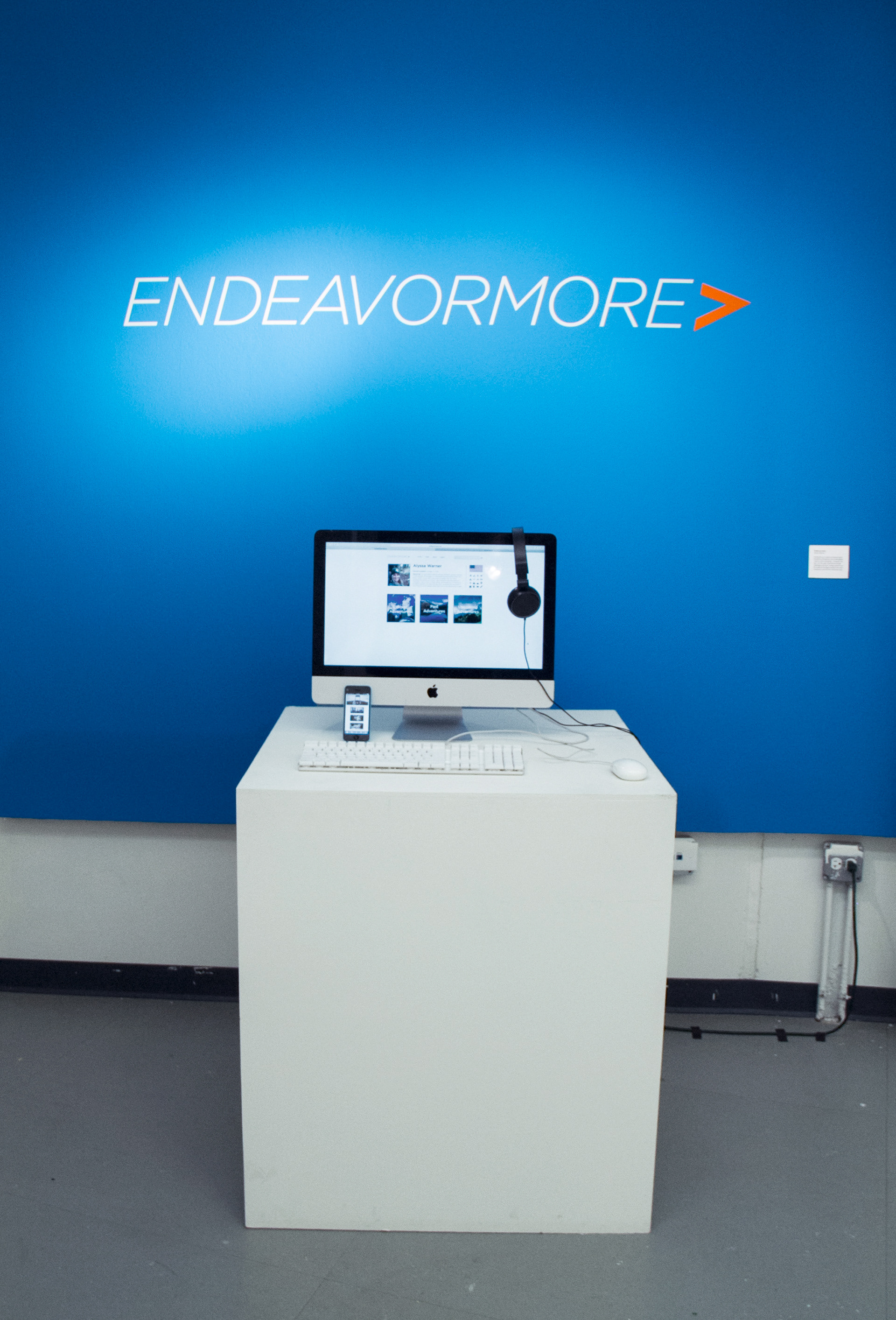 Senior Thesis Exhibit