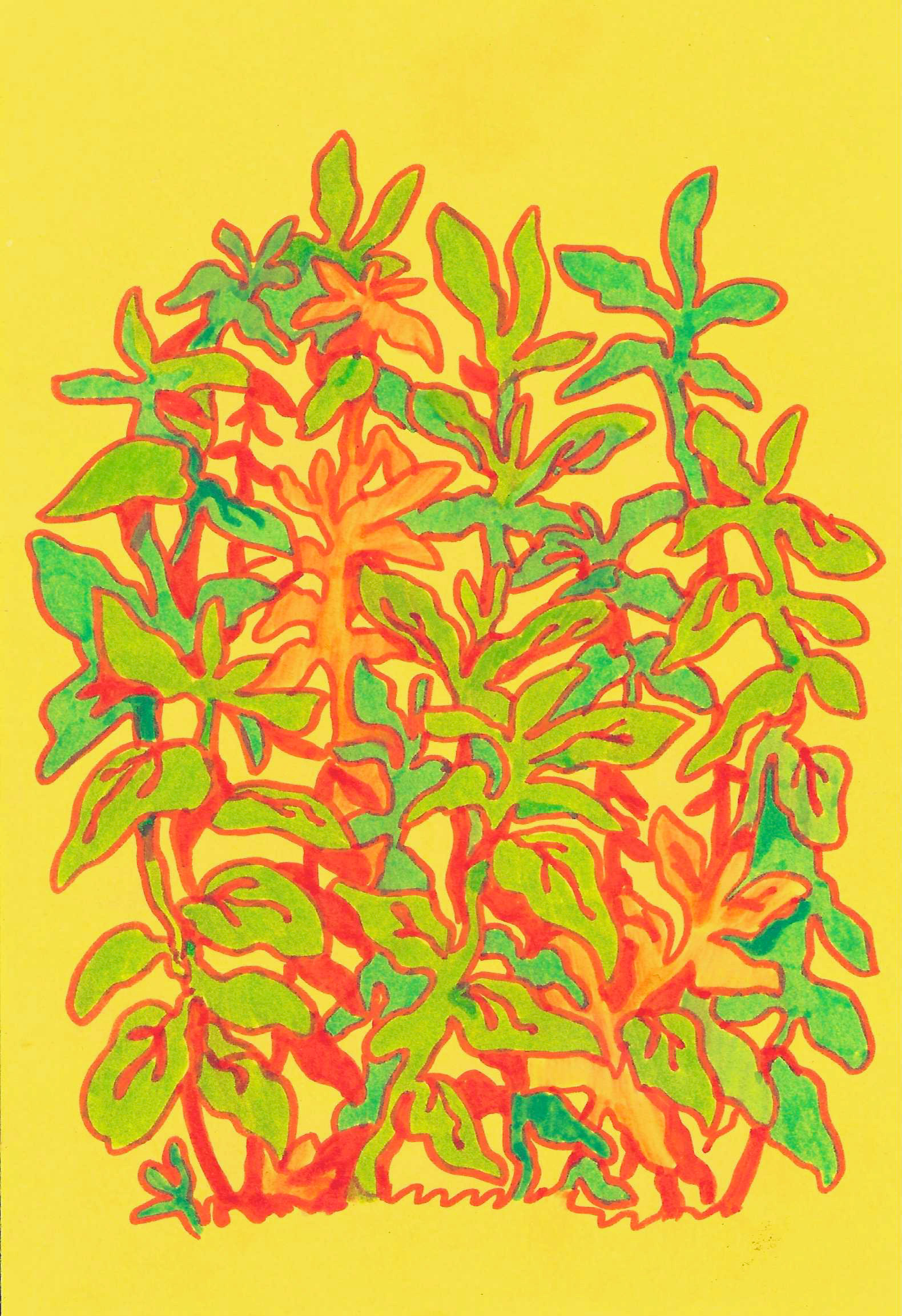 "Plantyplant". 2024