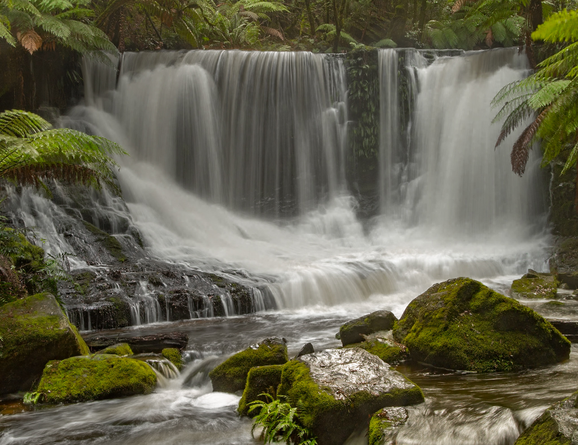 2 Horseshoe Falls - Mt Field National Park - Tasmania - Australia