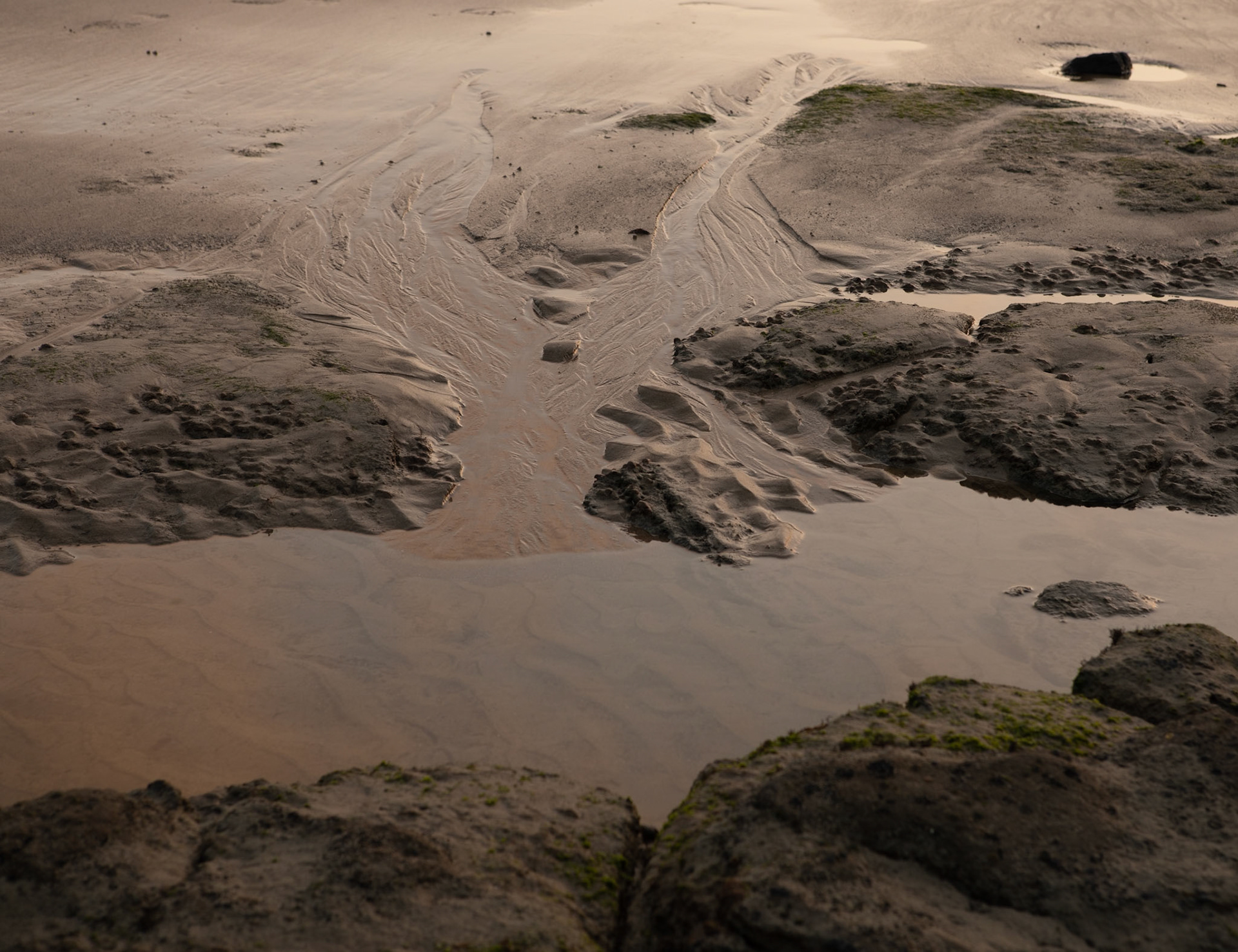 12 Godfrey Beach - Stanley - northwest Tasmania - Australia