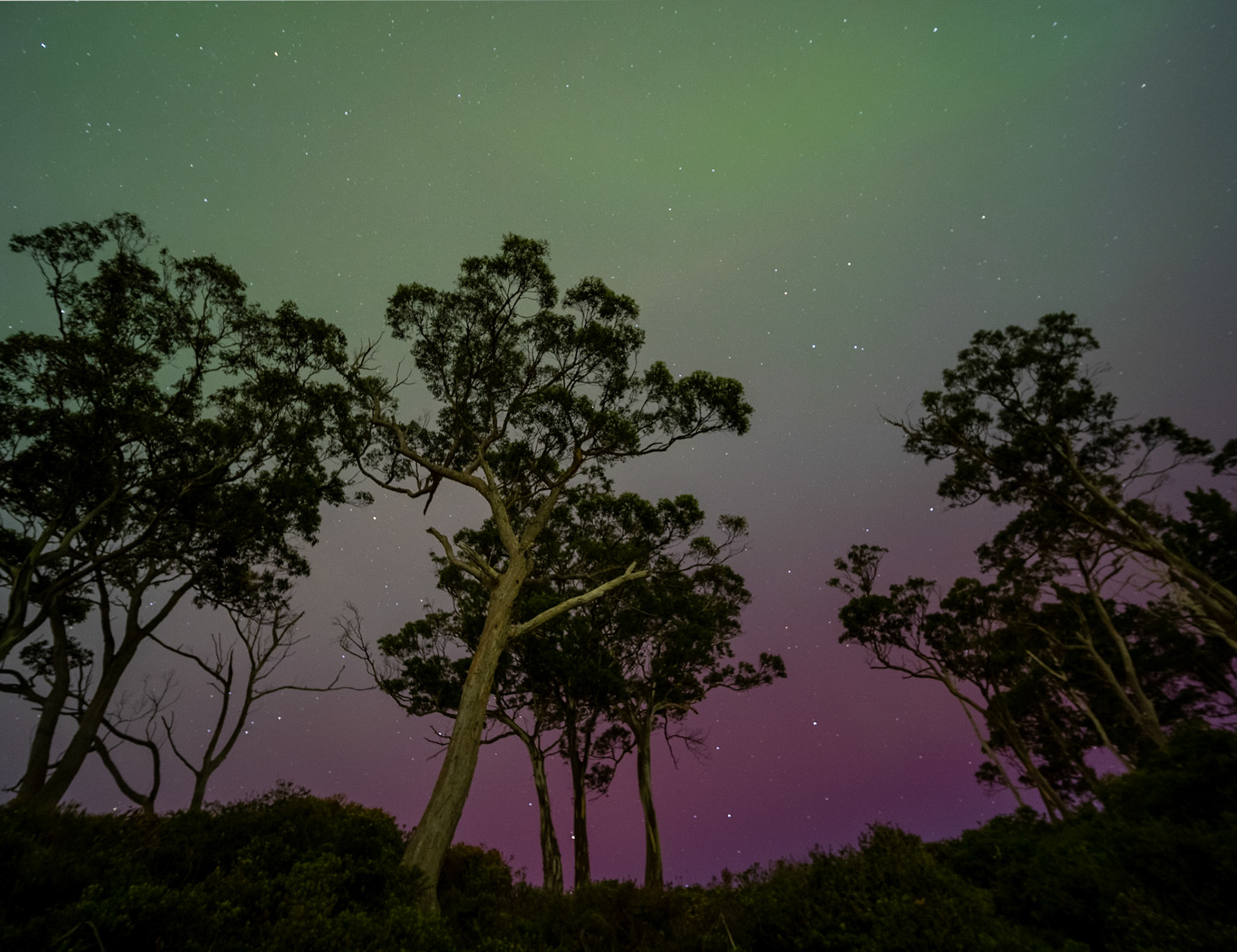 62 Aurora Australis - Southern Lights - Huon Valley - Tasmania