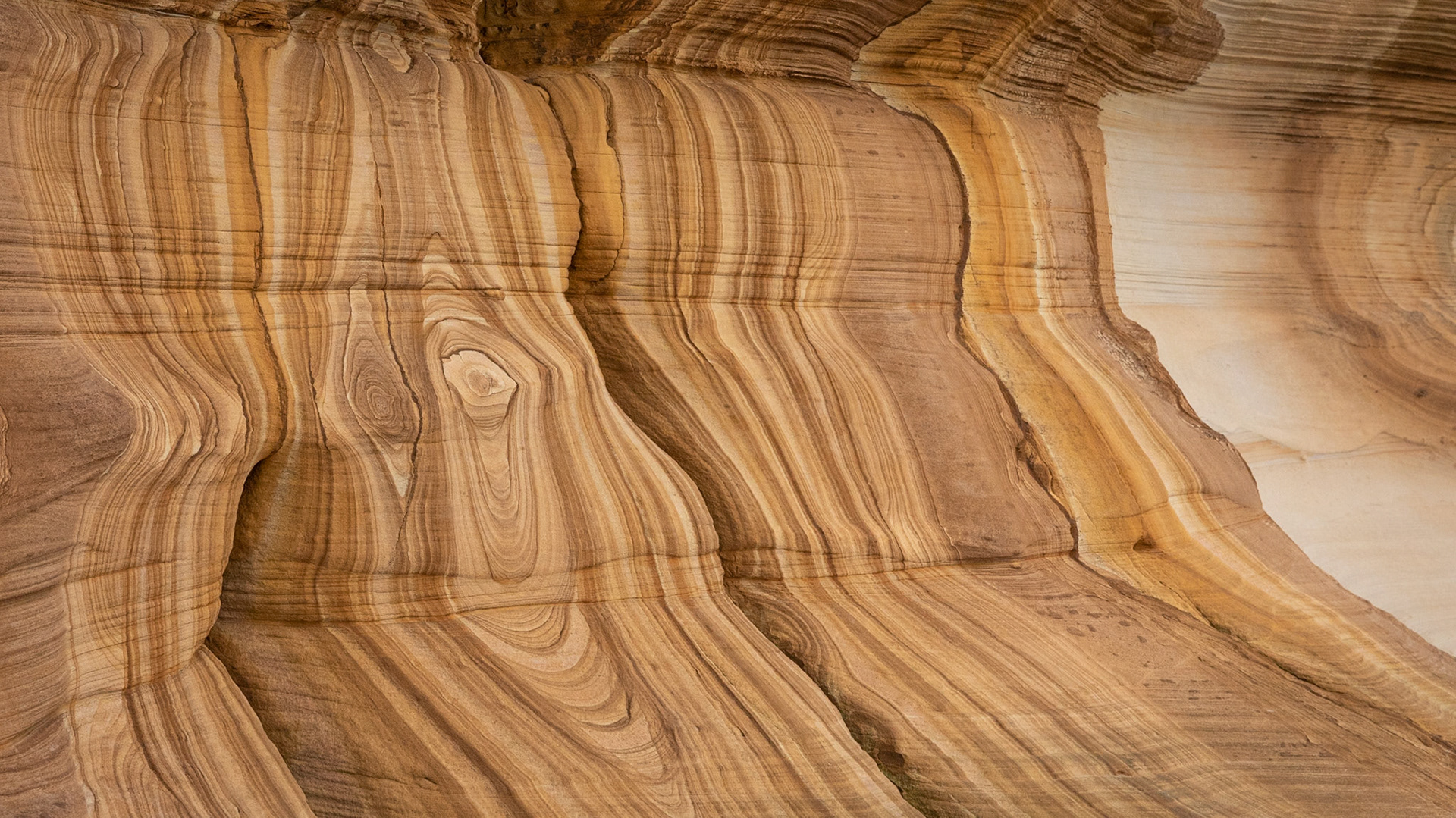 Natures canvas of oxidised sandstone - Maria Island, Tasmania