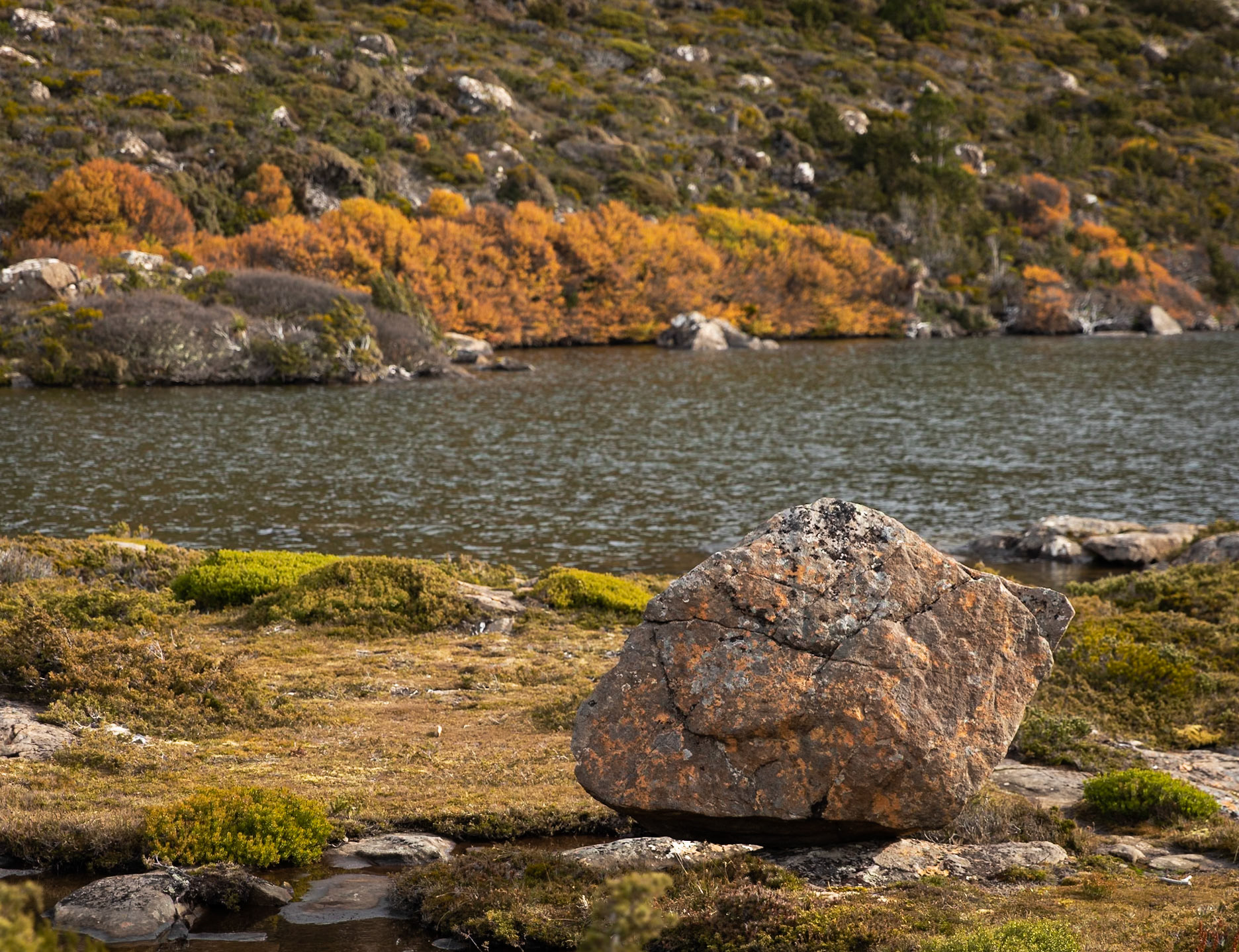 35 Tarn Shelf - Mt Field National Park - Tasmania - Australia