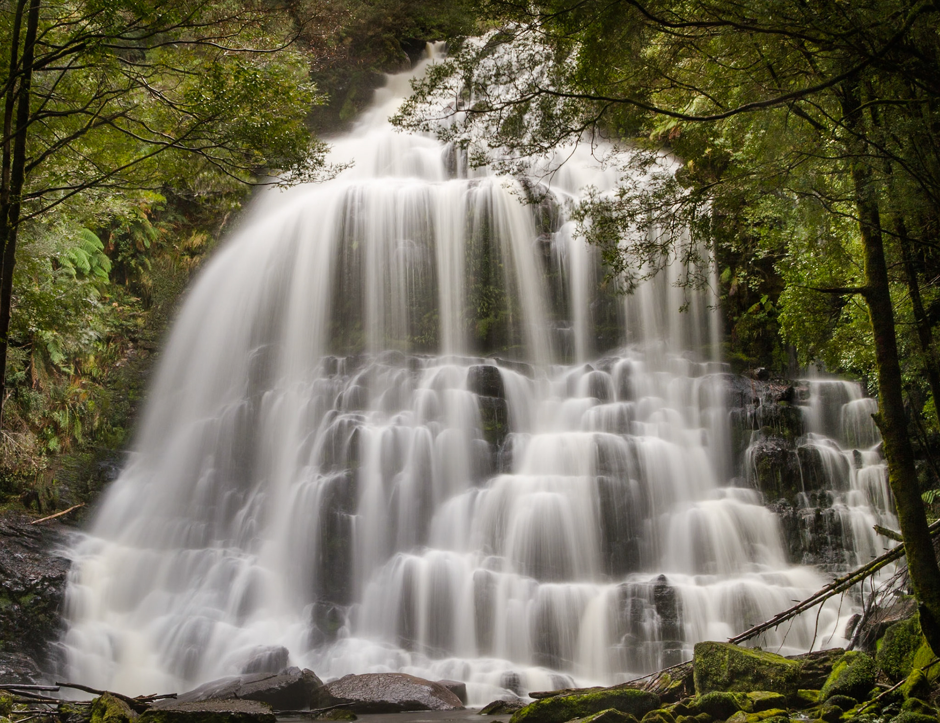 4 Nelson Falls - Franklin-Gordon Wild Rivers National Park - Tasmania - Australia