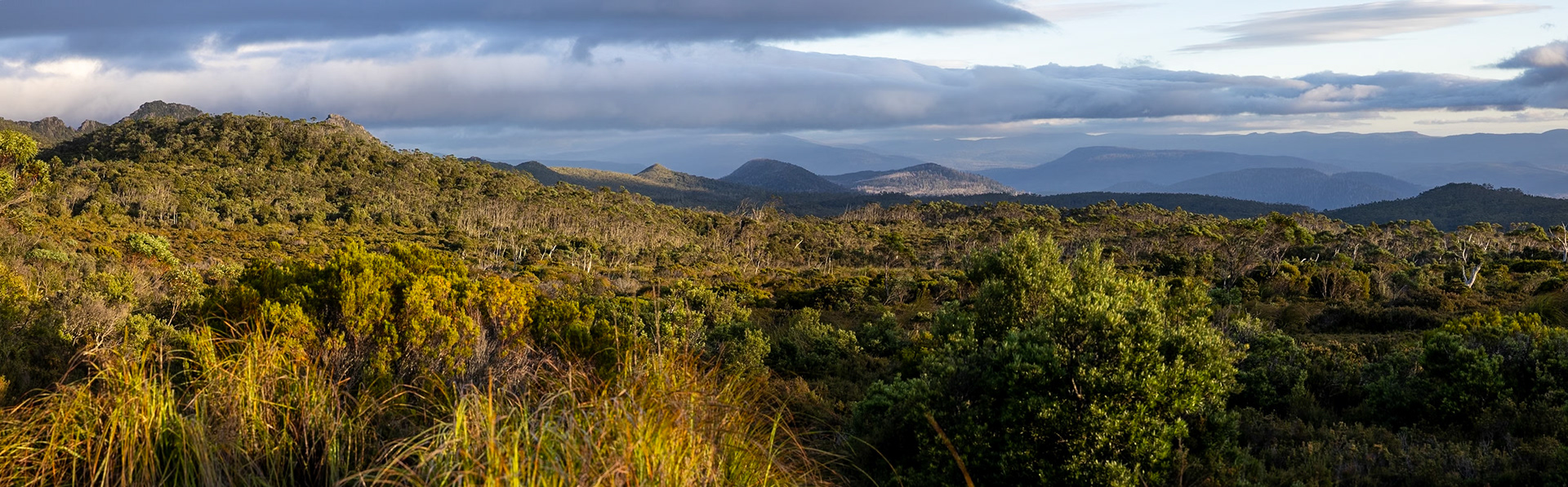 Hartz Mountains National Park - Tasmania