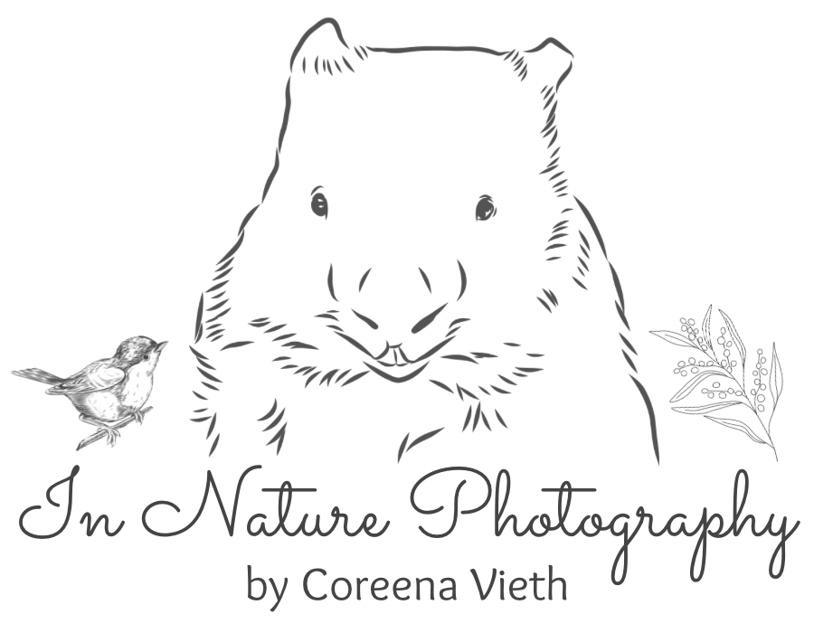 In Nature Photography by Coreena Vieth