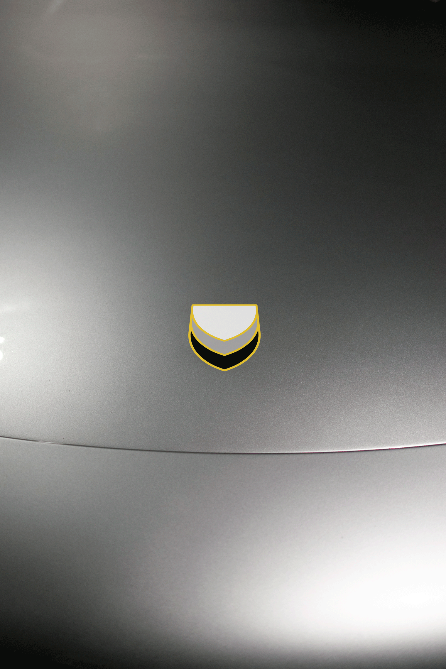 911 hood emblem