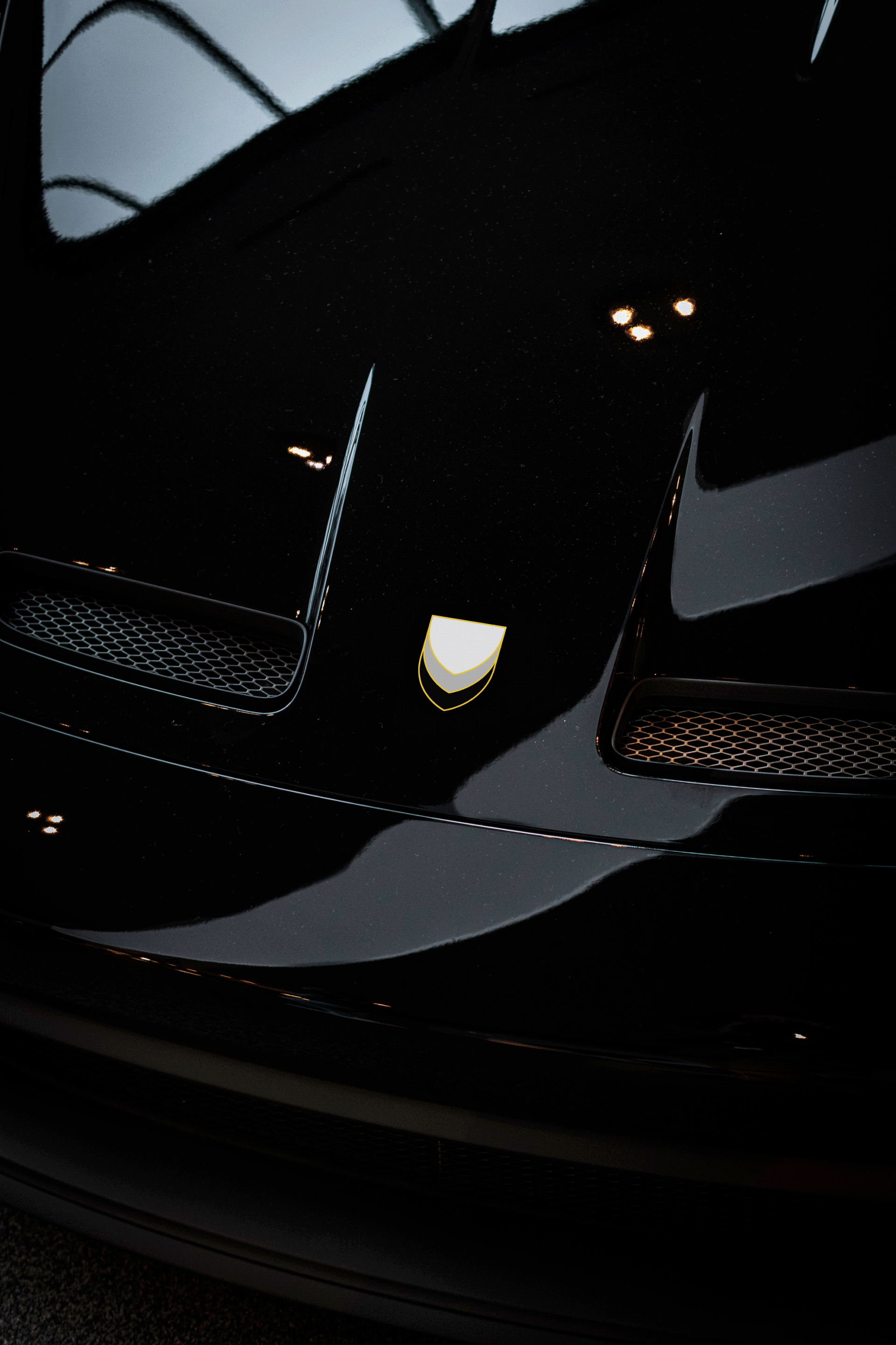 992 GT3 hood emblem