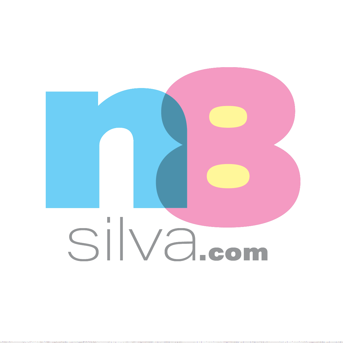 n8silva.com