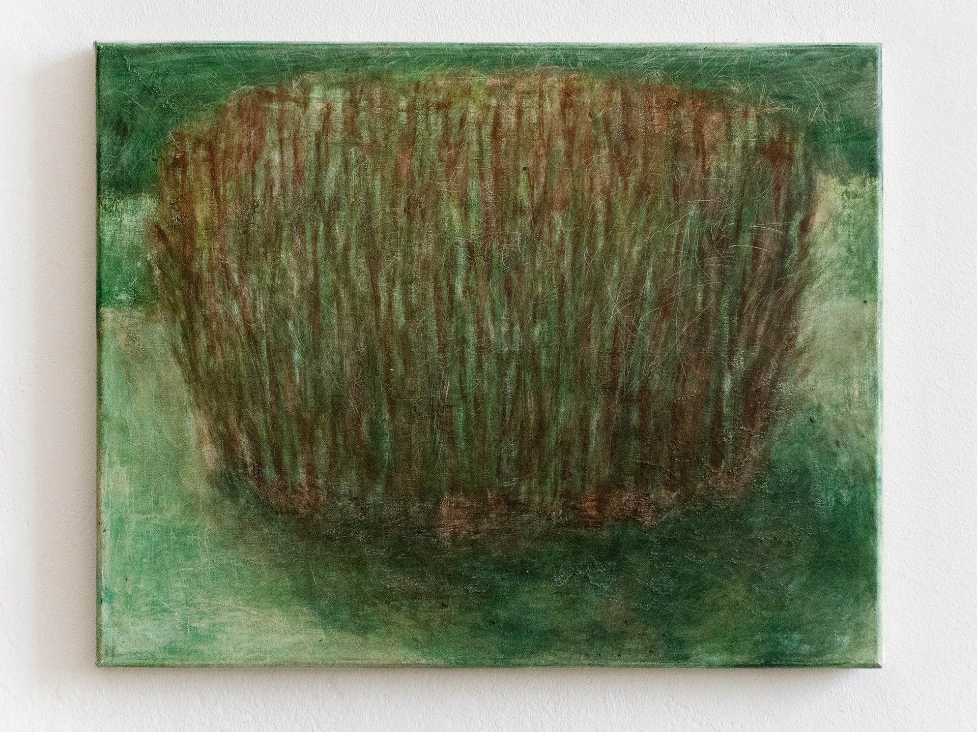 Busch 1 / 40 x 50 / 2023