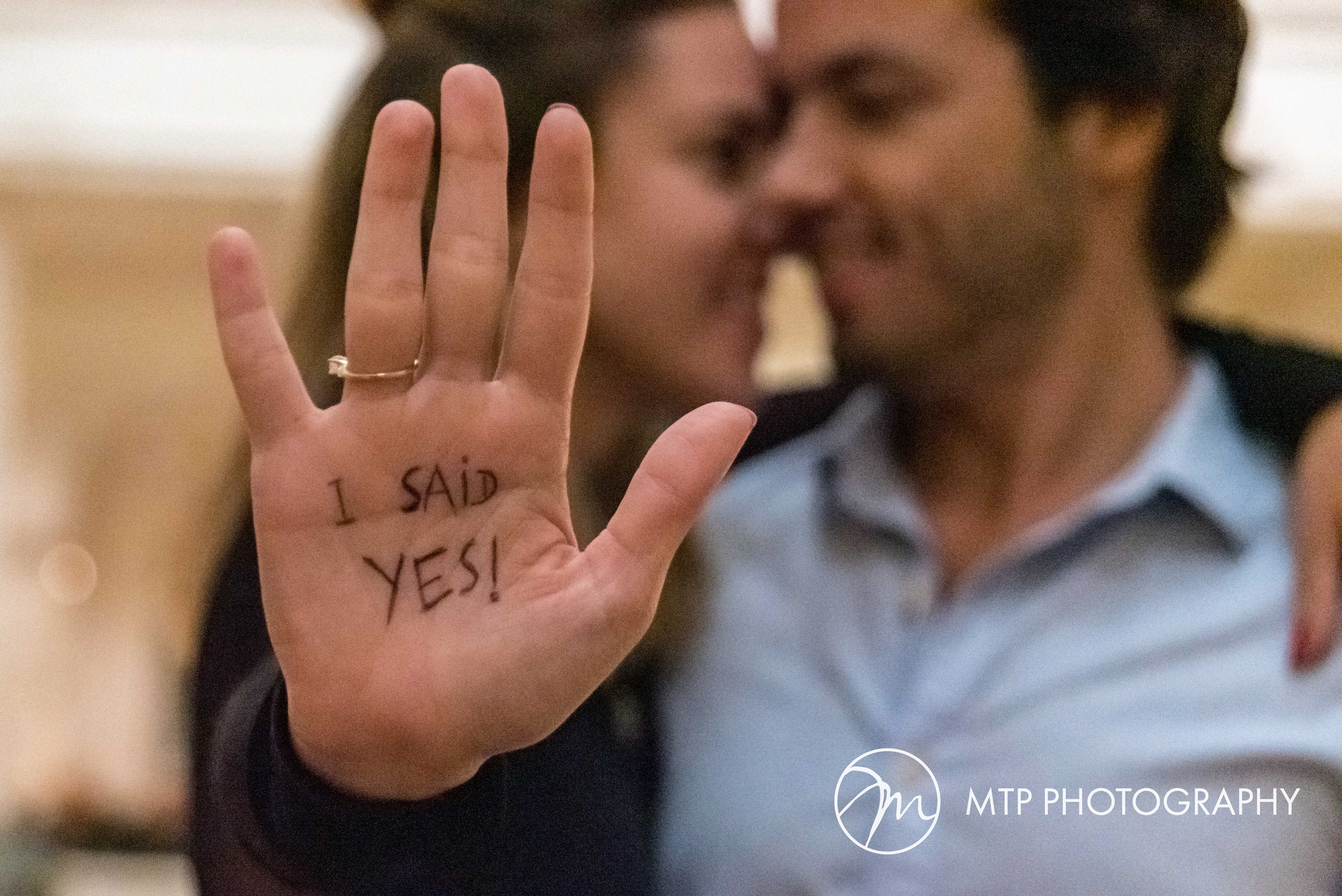 Disney Firework Proposal