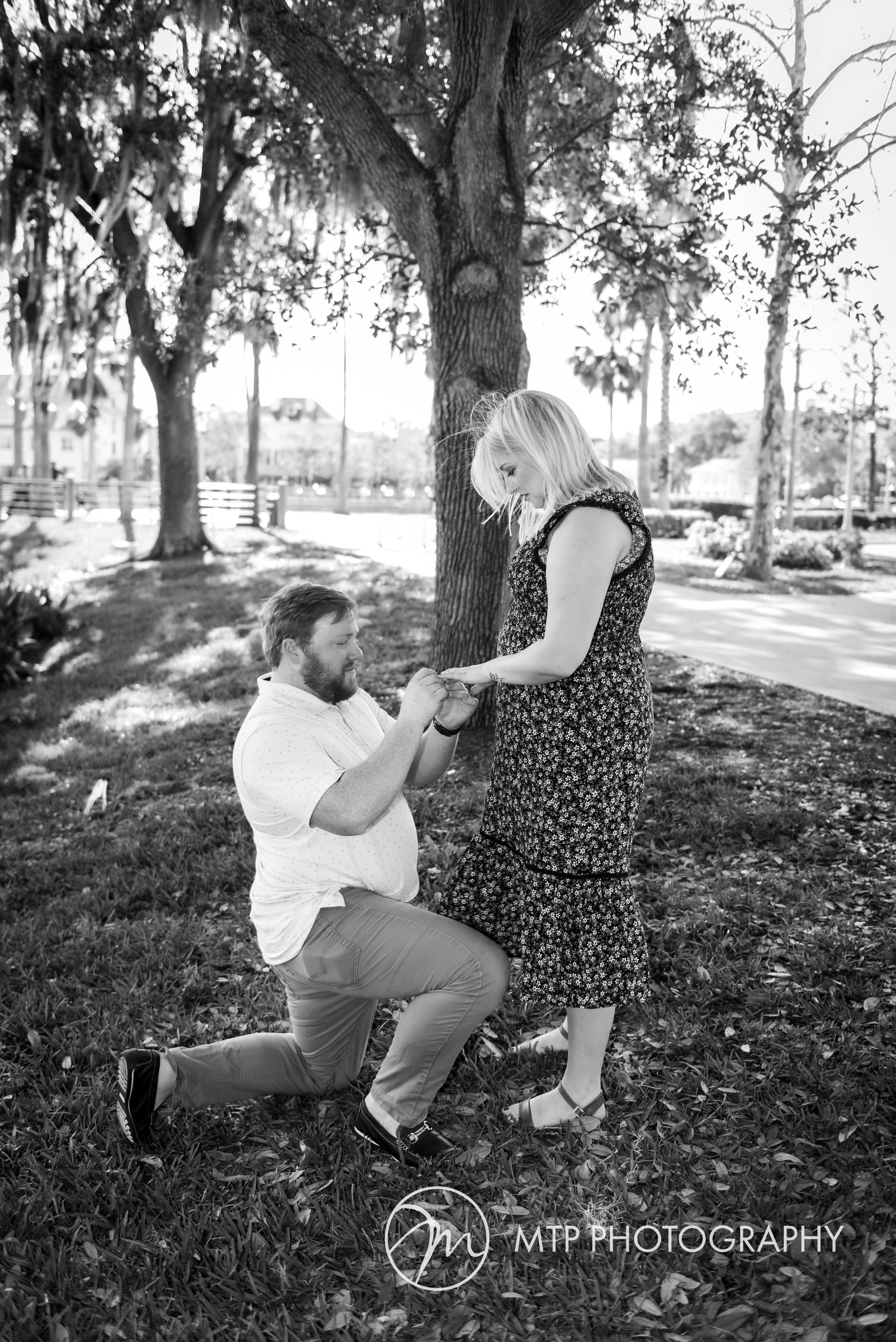 Celebration Florida Proposal