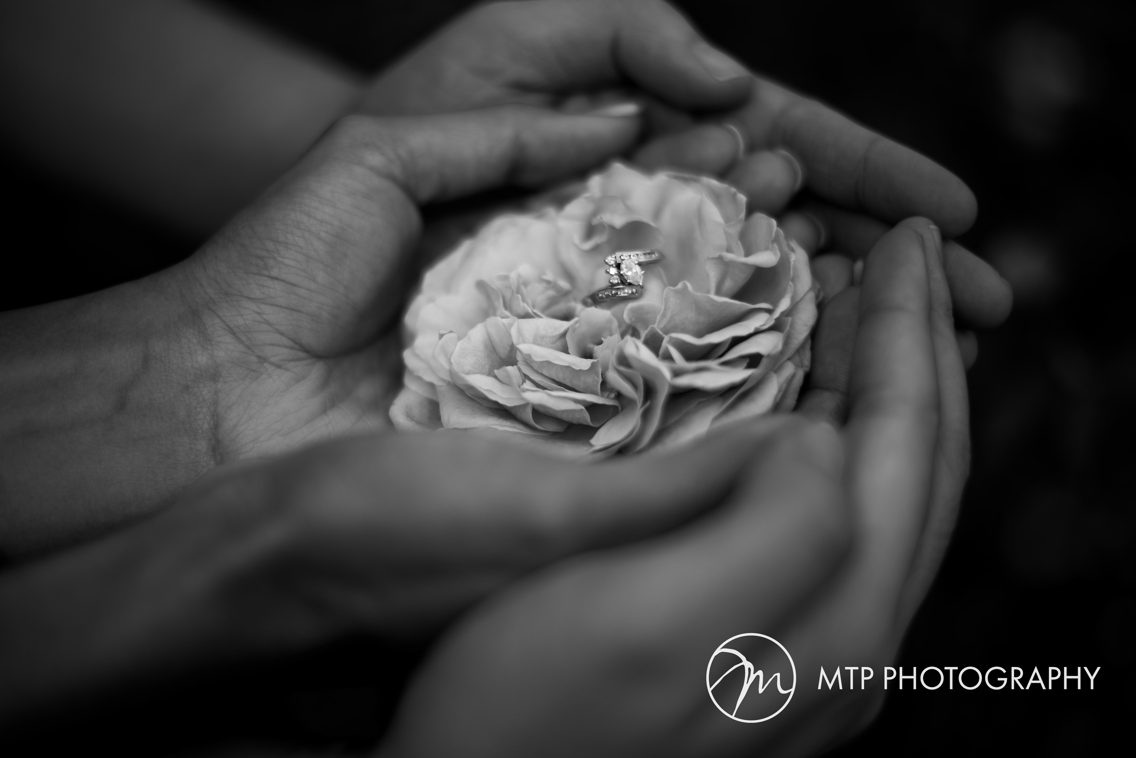 Leu Gardens Engagement Session