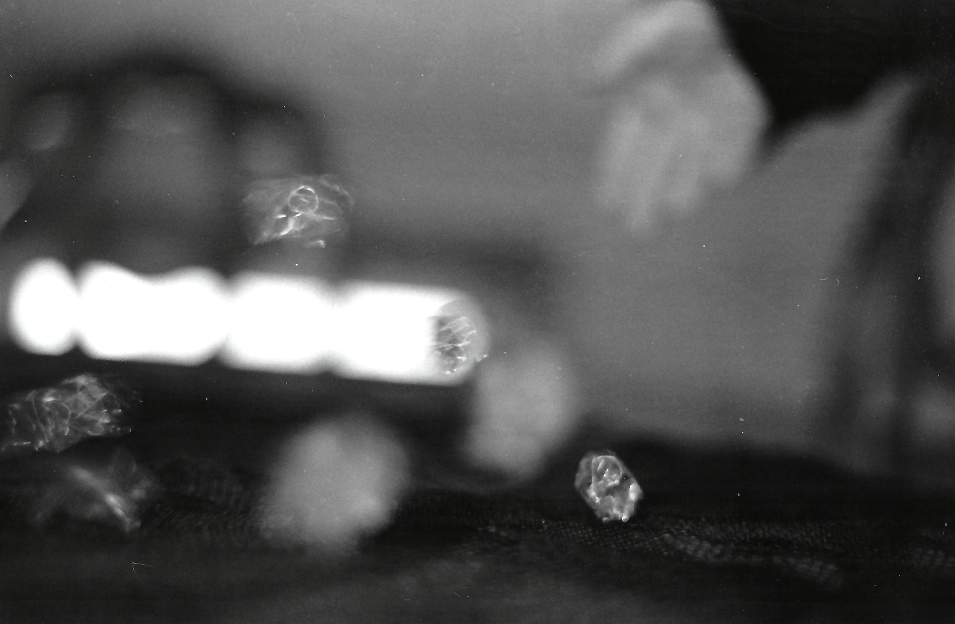 "Dice Roll" 2022