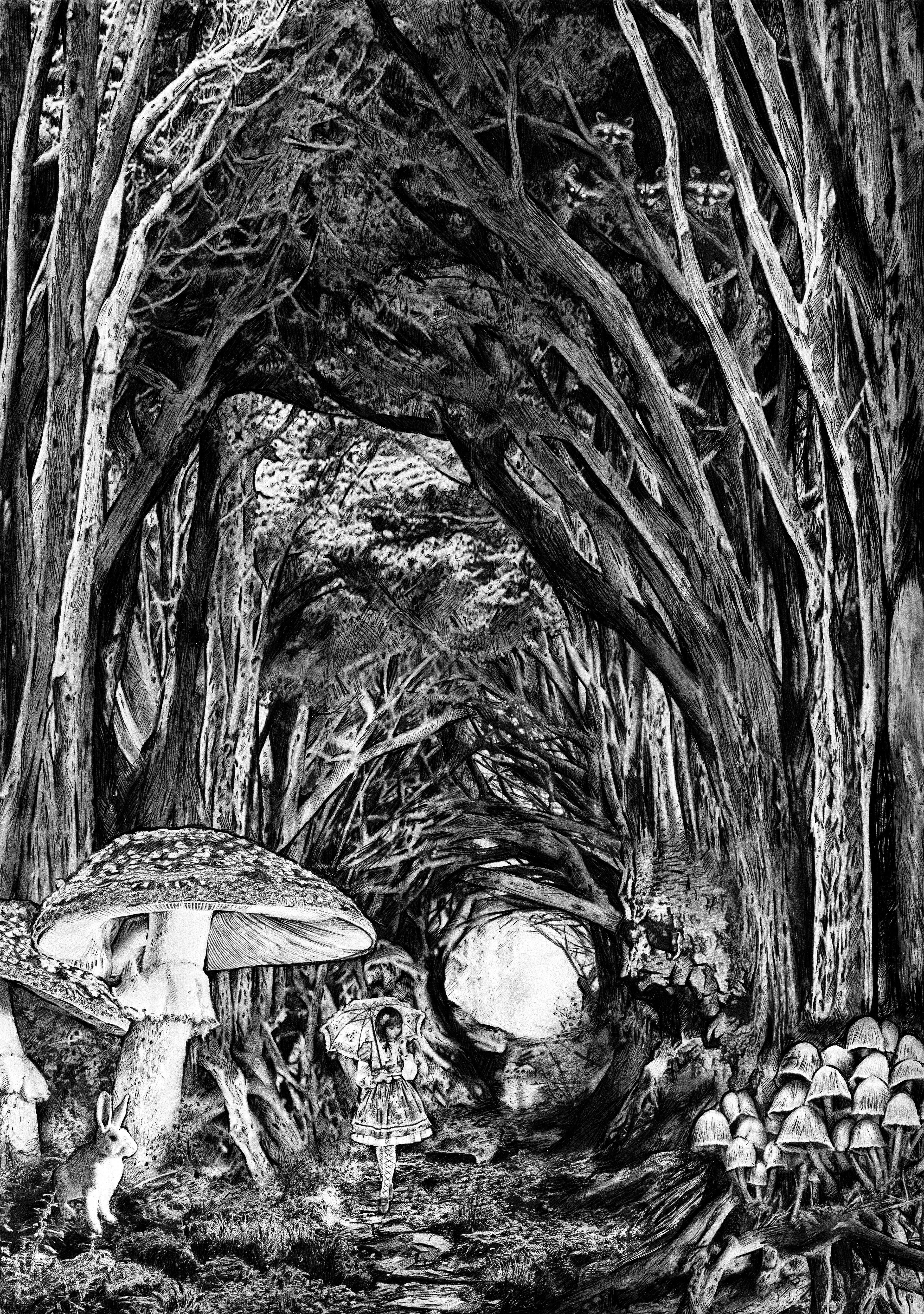 The Rabbit Hole
